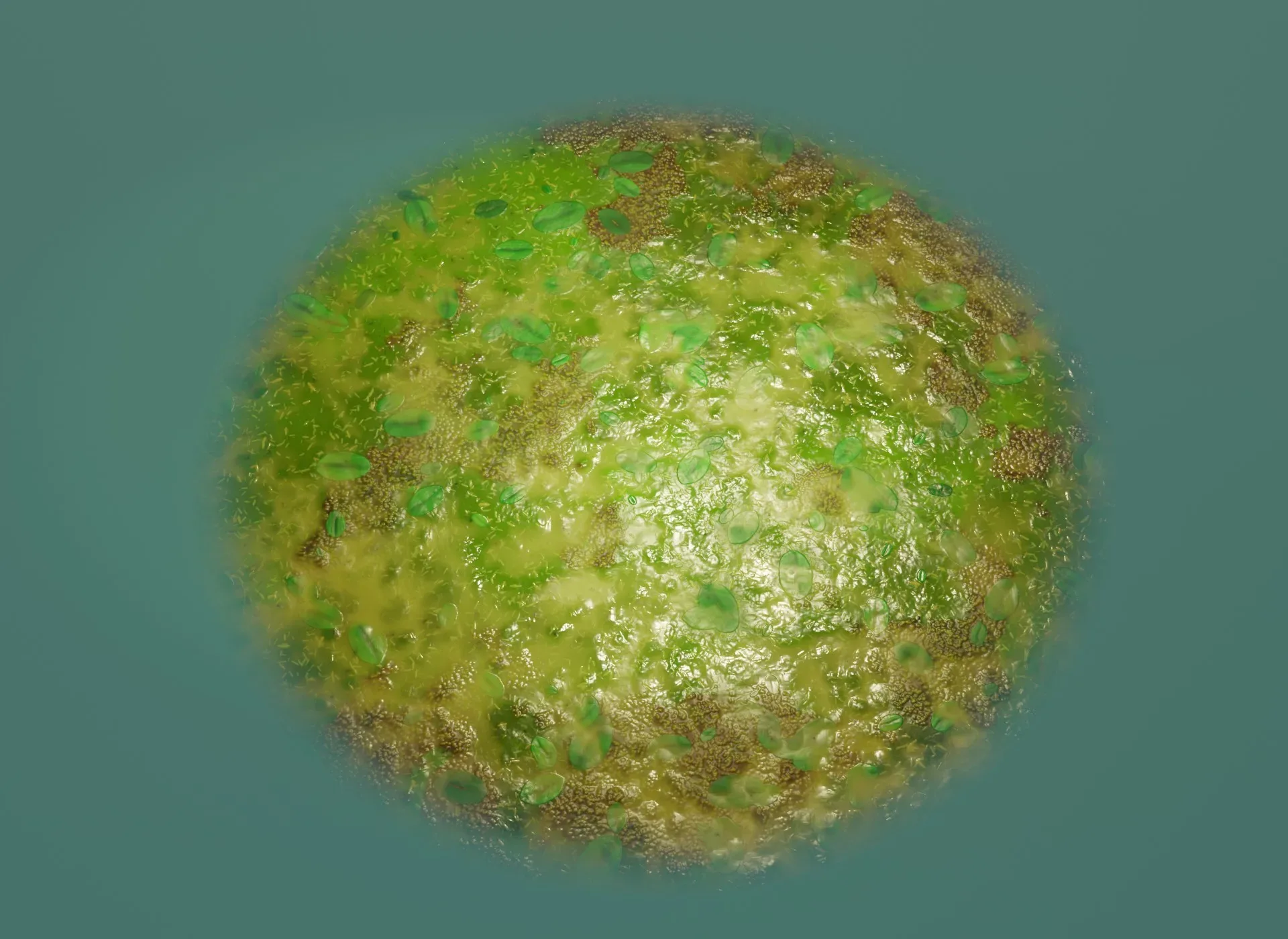 Cartoon Swamp 3D Model