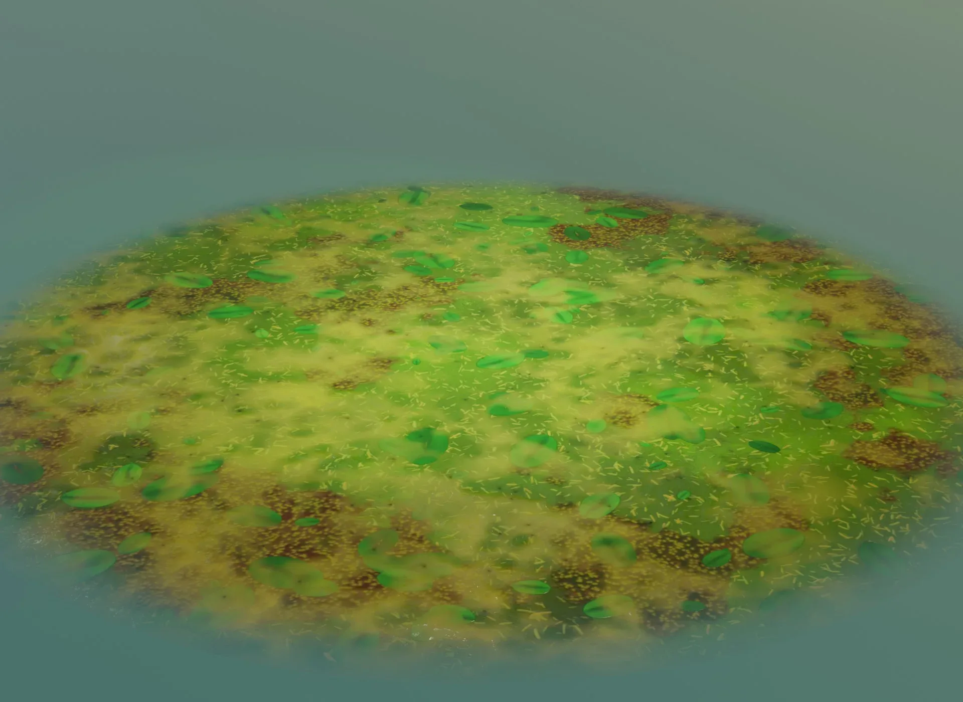 Cartoon Swamp 3D Model