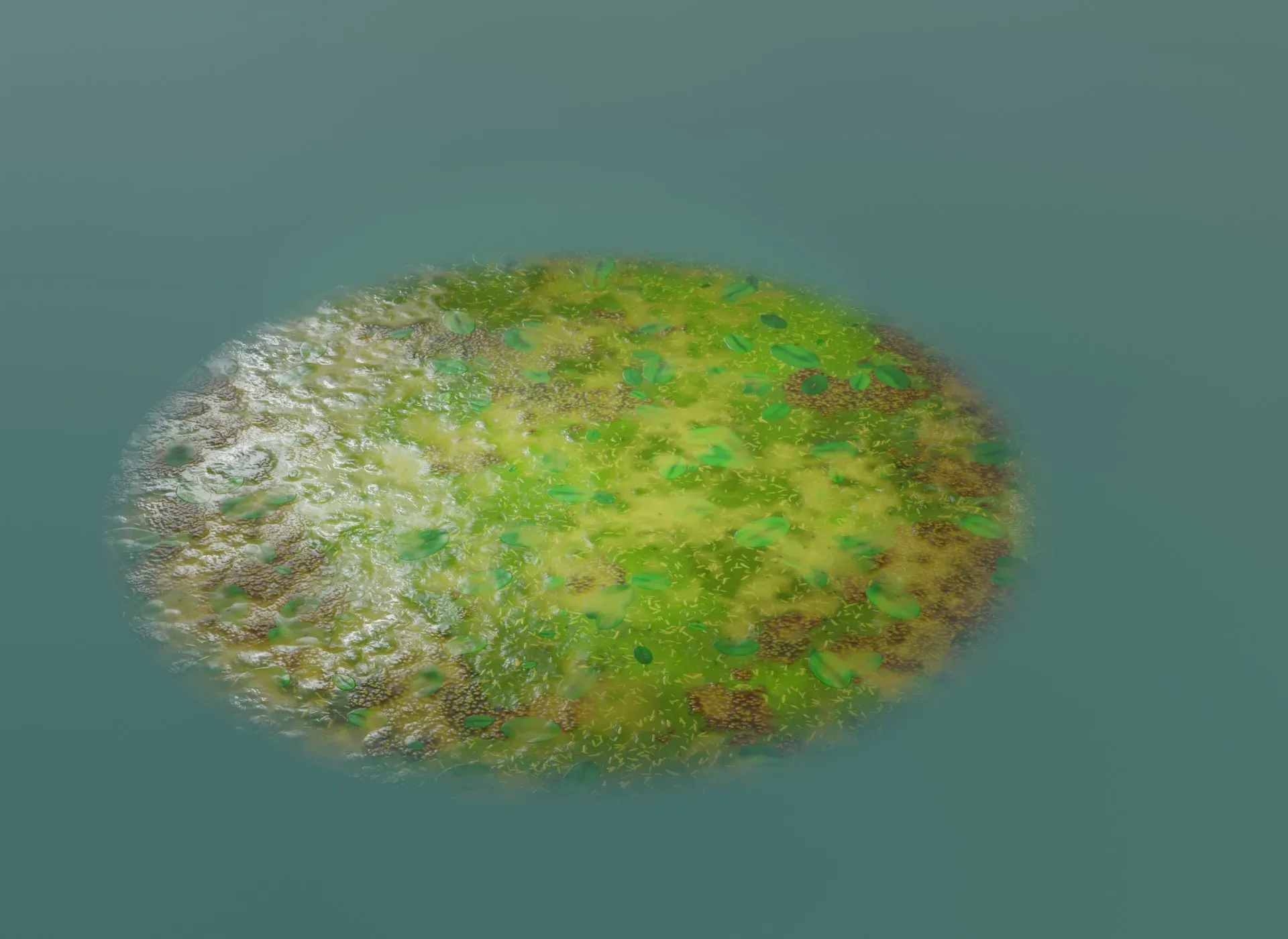 Cartoon Swamp 3D Model