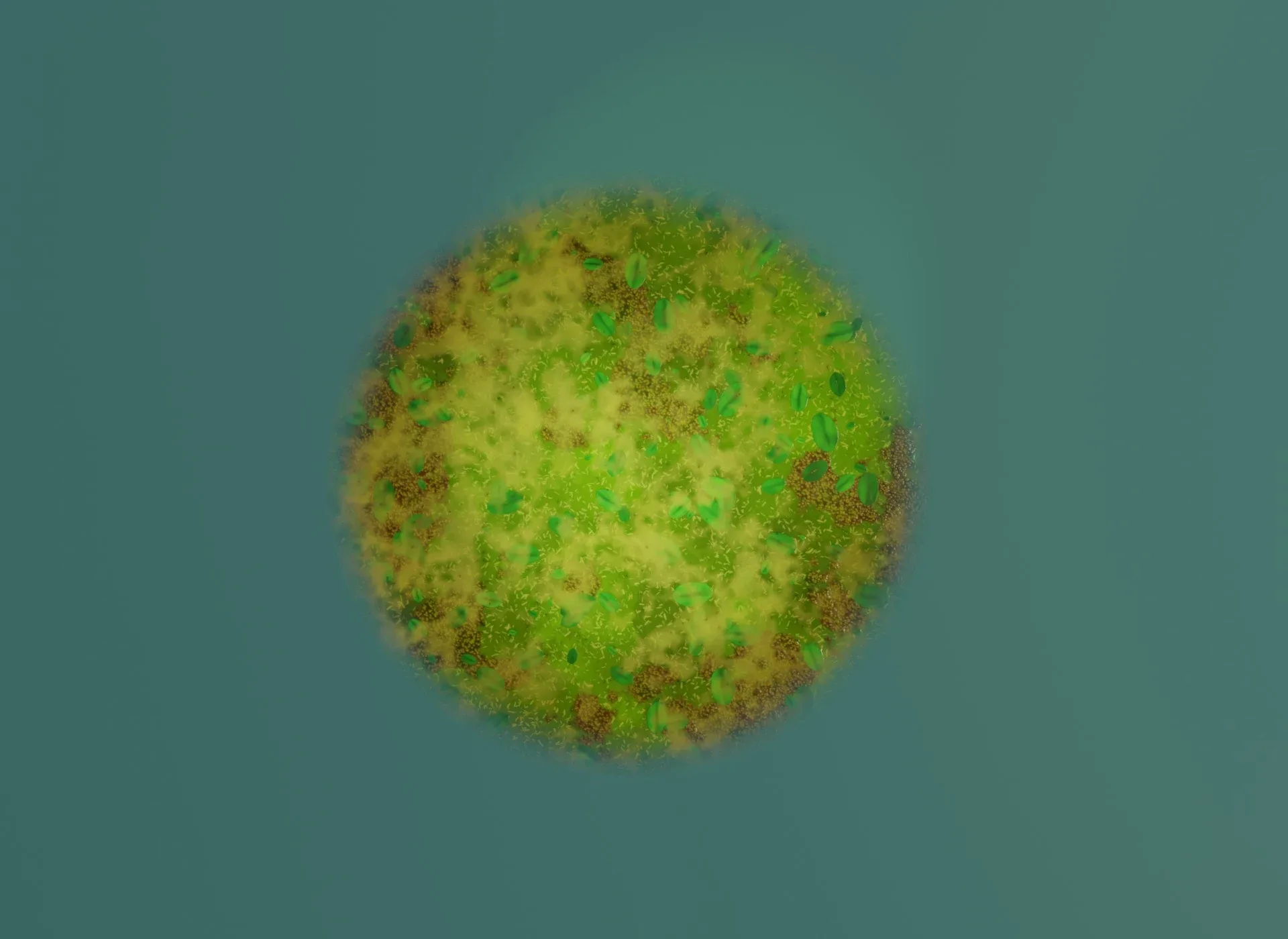 Cartoon Swamp 3D Model