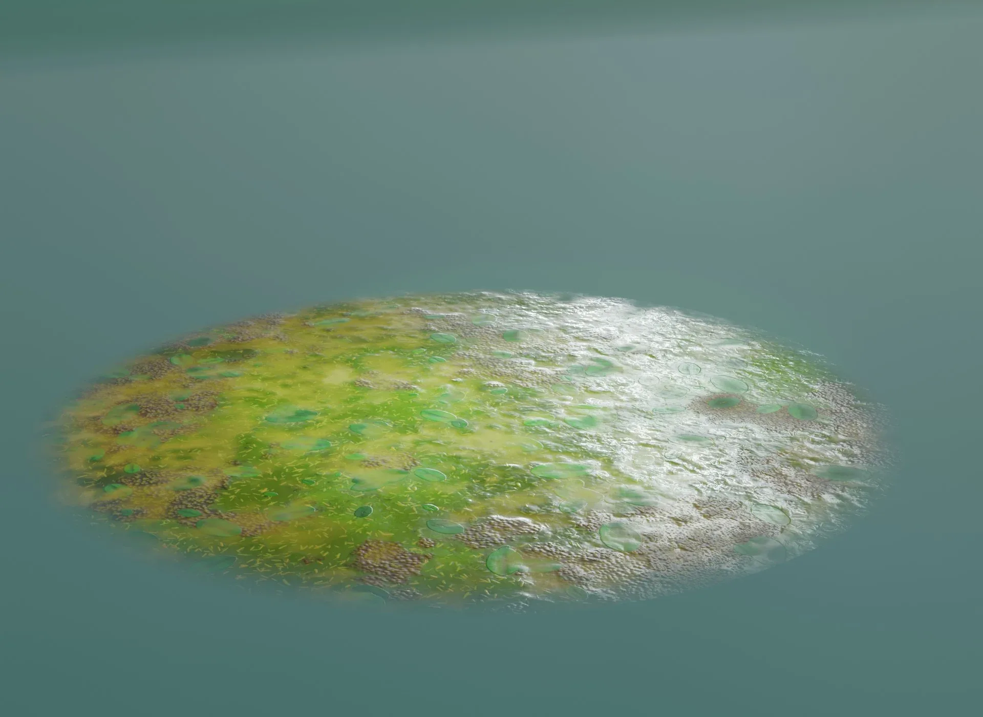 Cartoon Swamp 3D Model