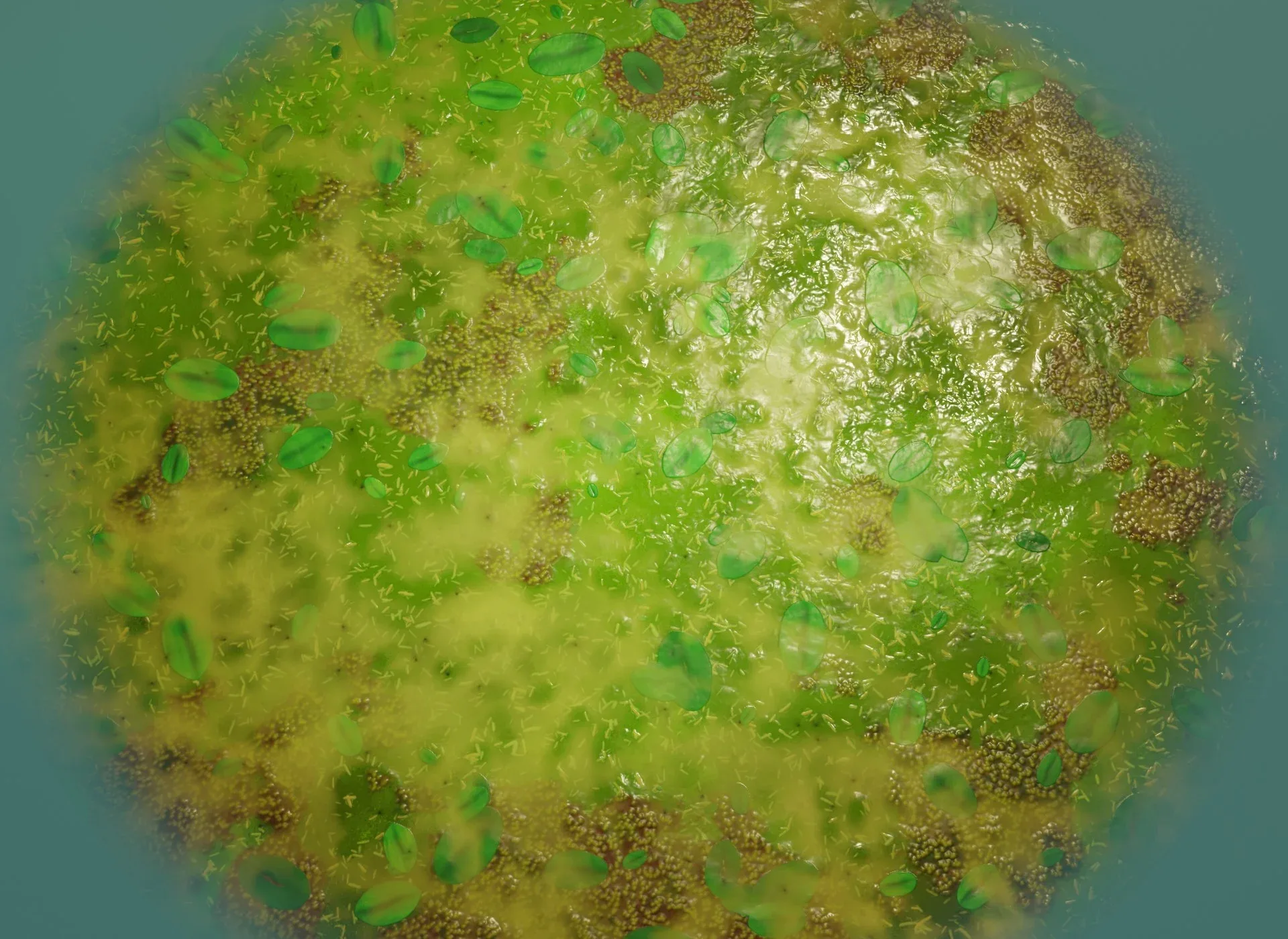 Cartoon Swamp 3D Model