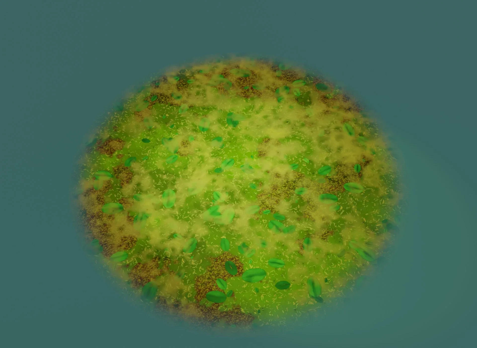 Cartoon Swamp 3D Model