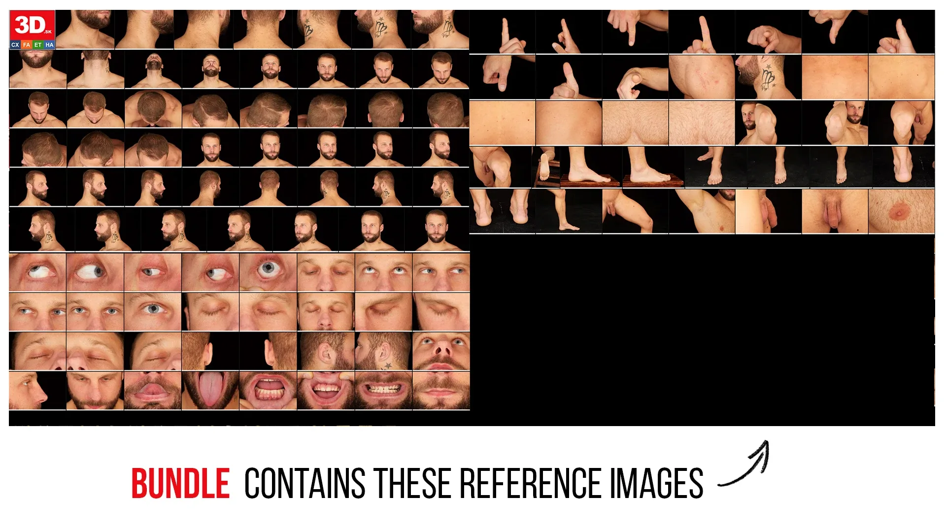 Turntable Reference Pro | Dave