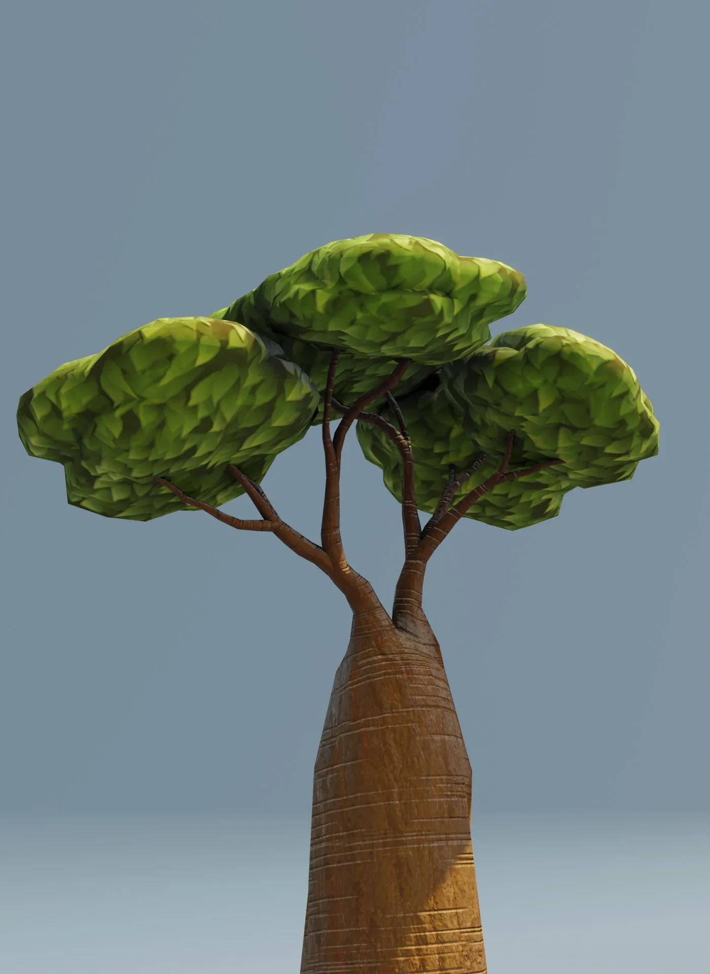 Cartoon Baobab Tree 3D Model