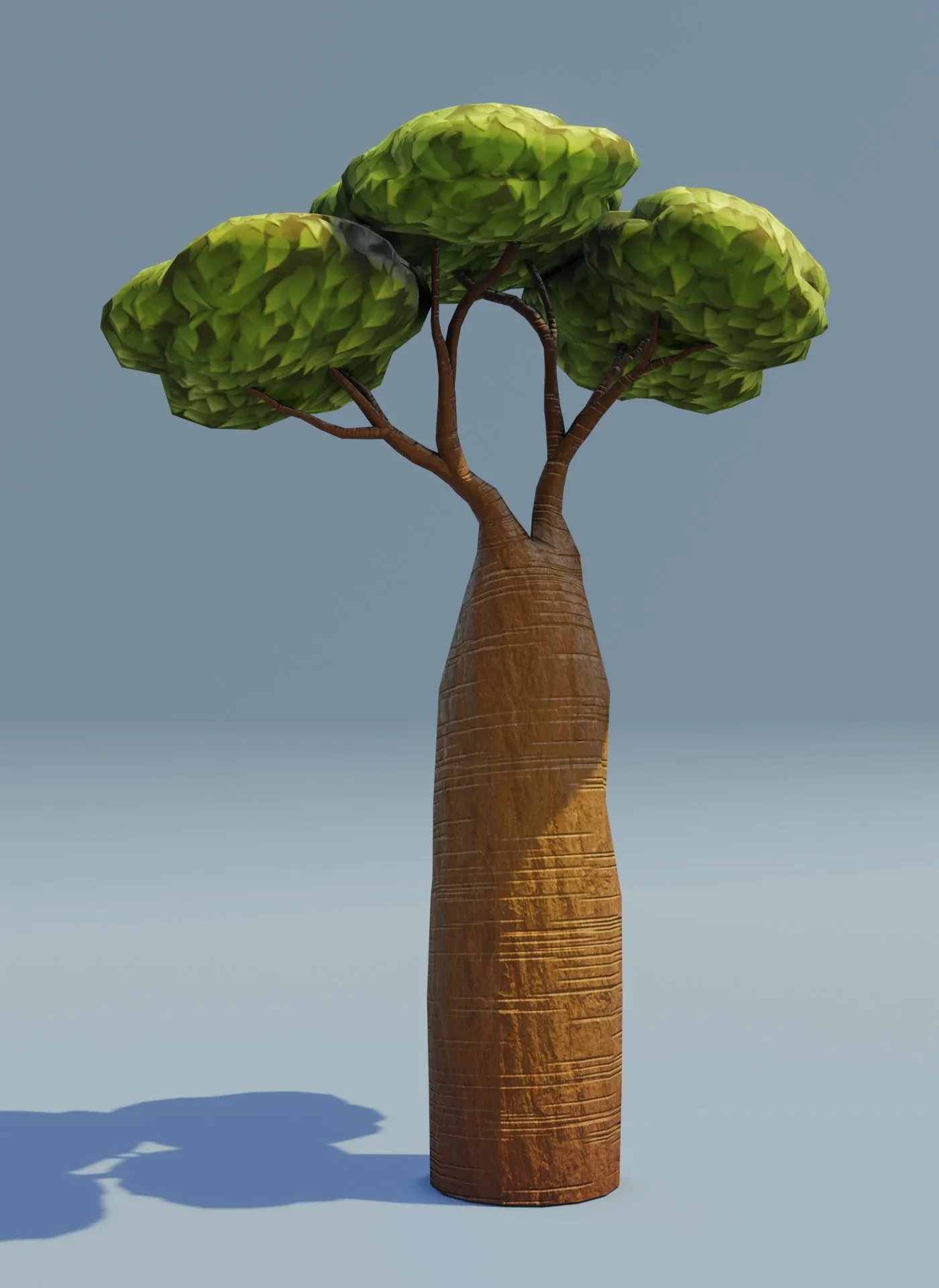 Cartoon Baobab Tree 3D Model