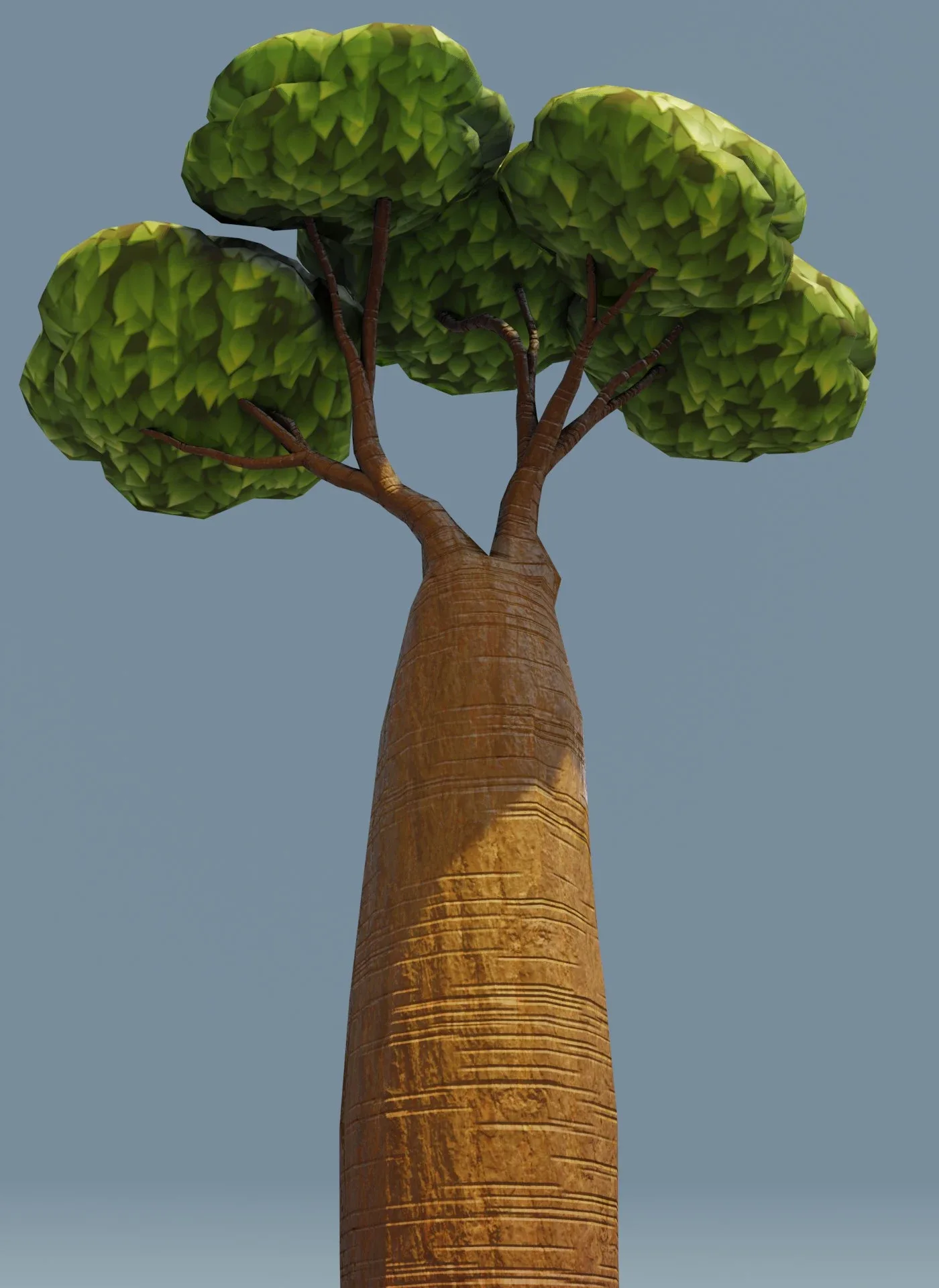 Cartoon Baobab Tree 3D Model
