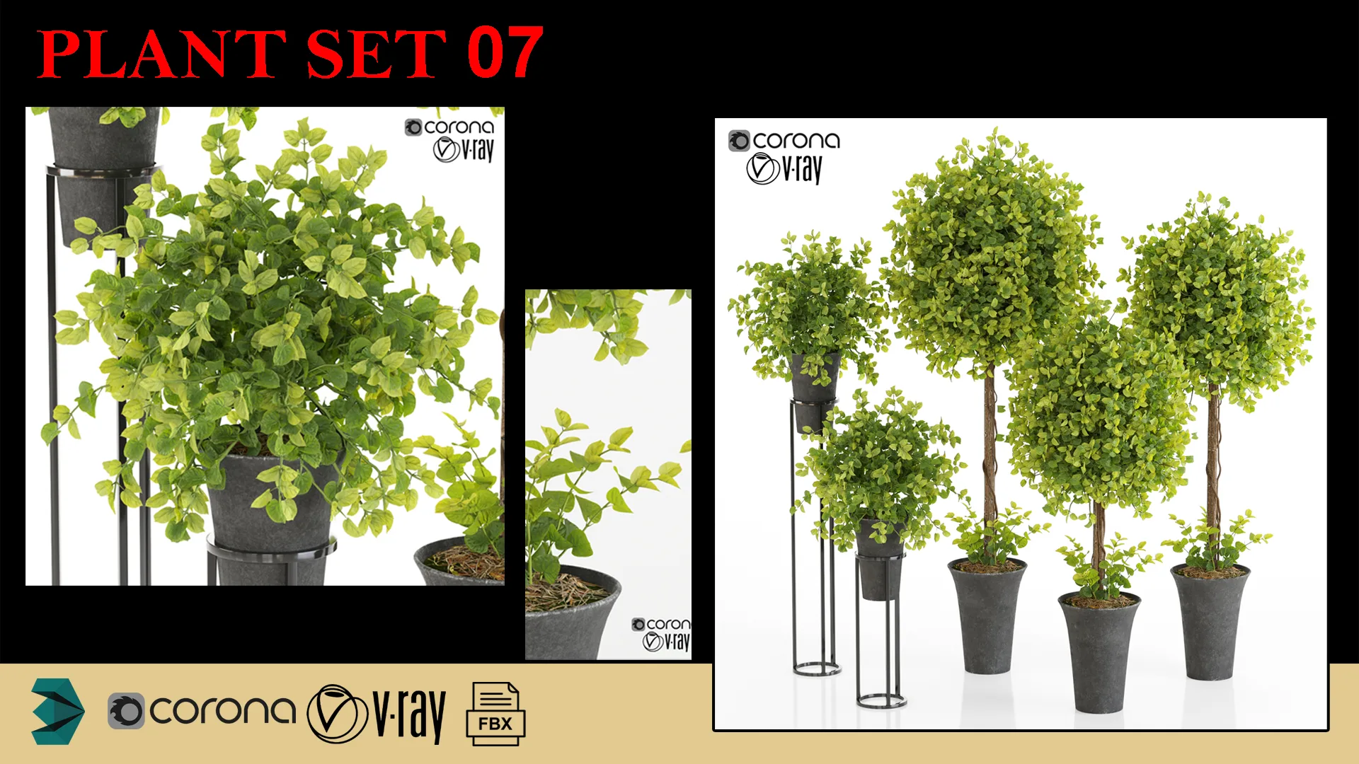 plant se 07