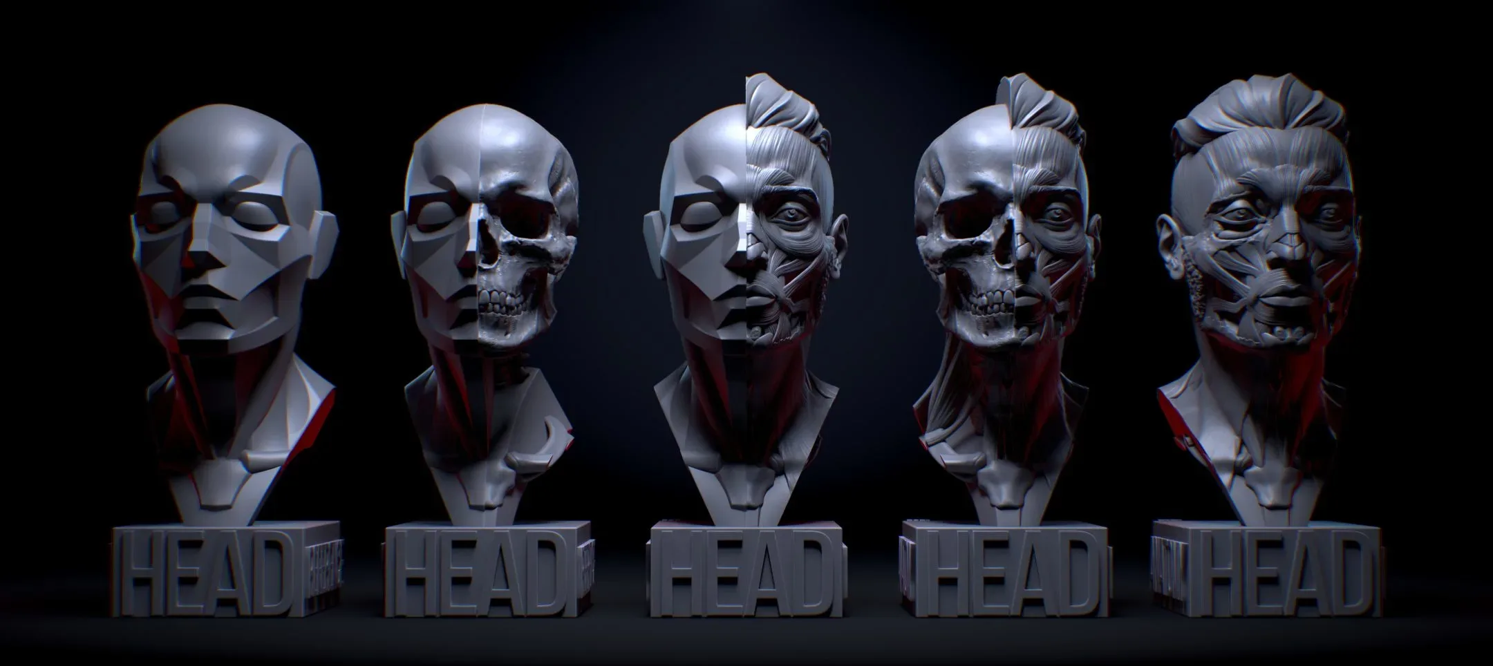 Head. Facial anatomy for 3d printing. STL