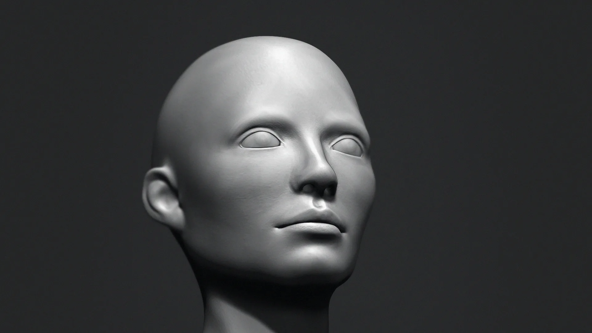 Free Bust Head Base Mesh