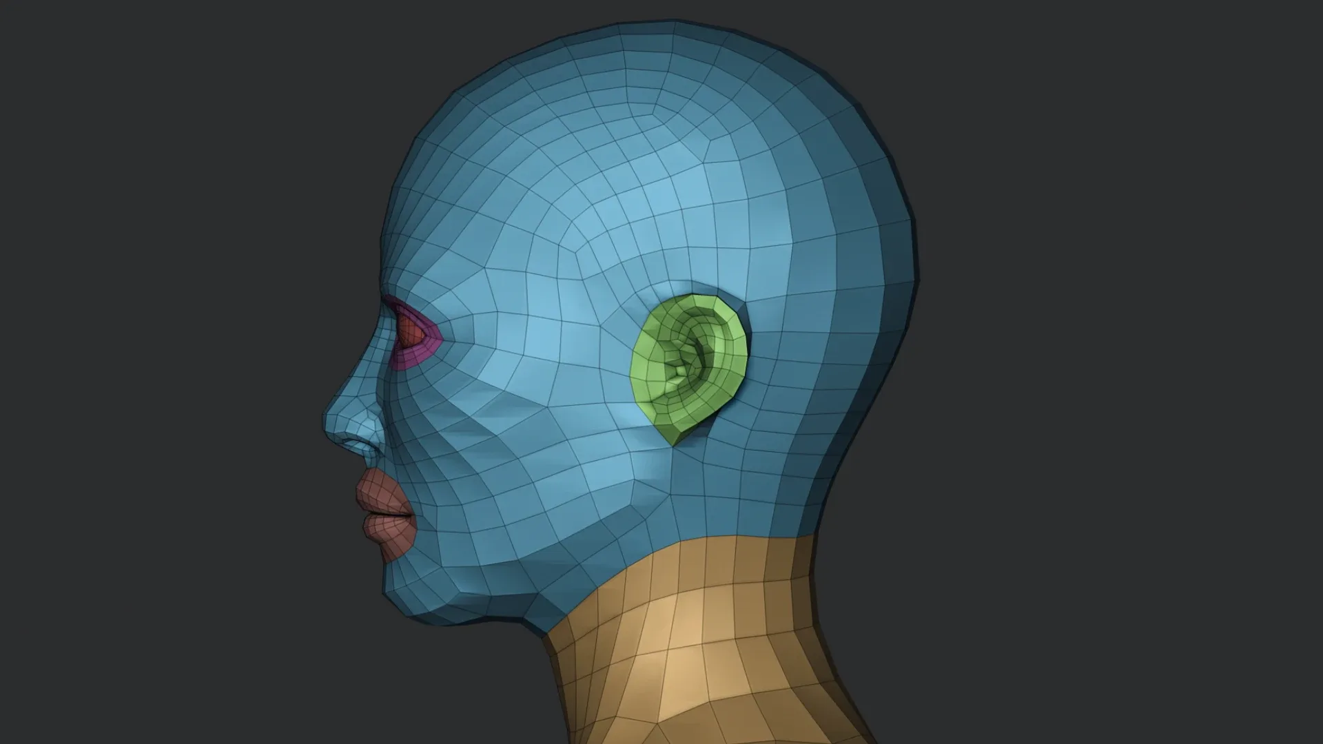 Free Bust Head Base Mesh