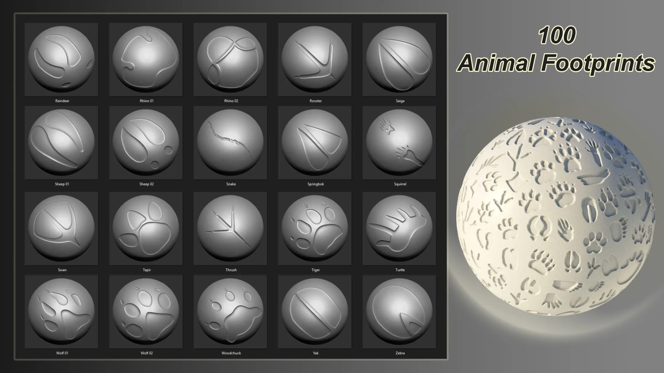 100 Animal Footprints brush & alpha