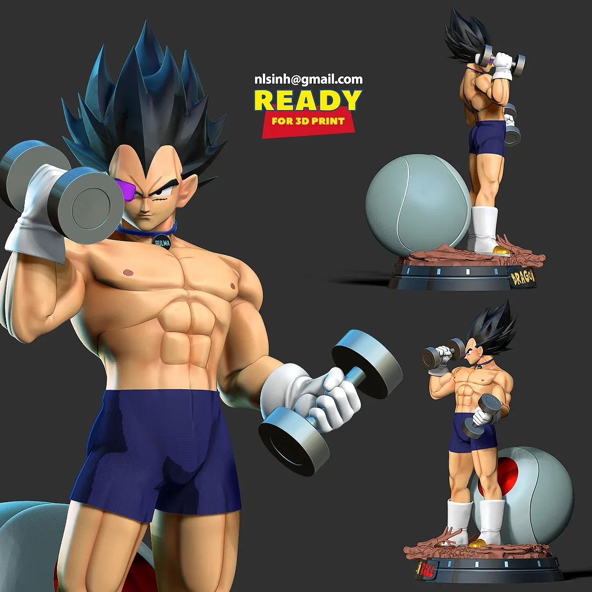 Vegeta with gym