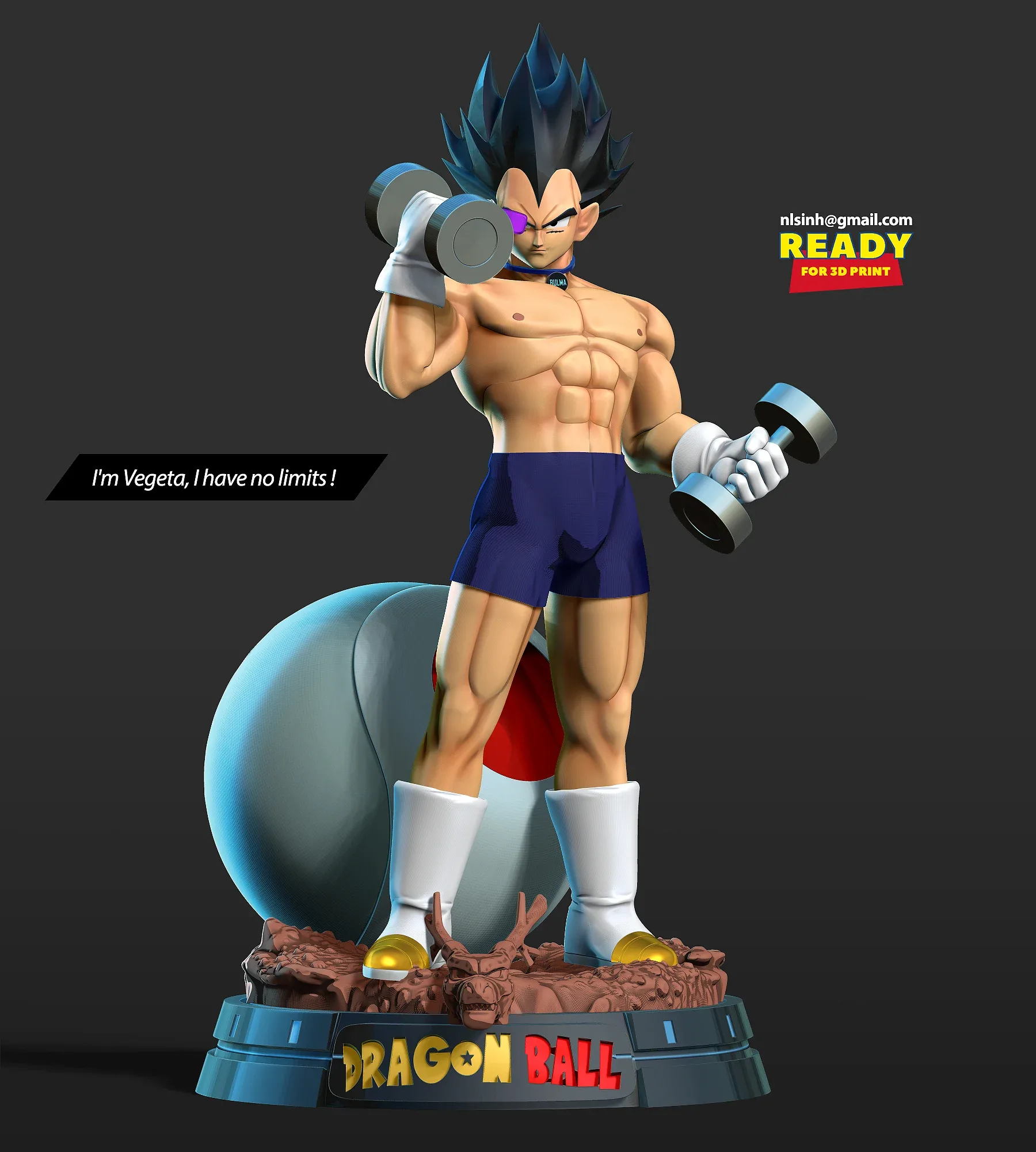 Vegeta with gym