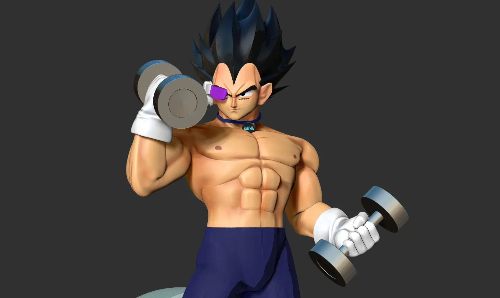 Vegeta with gym