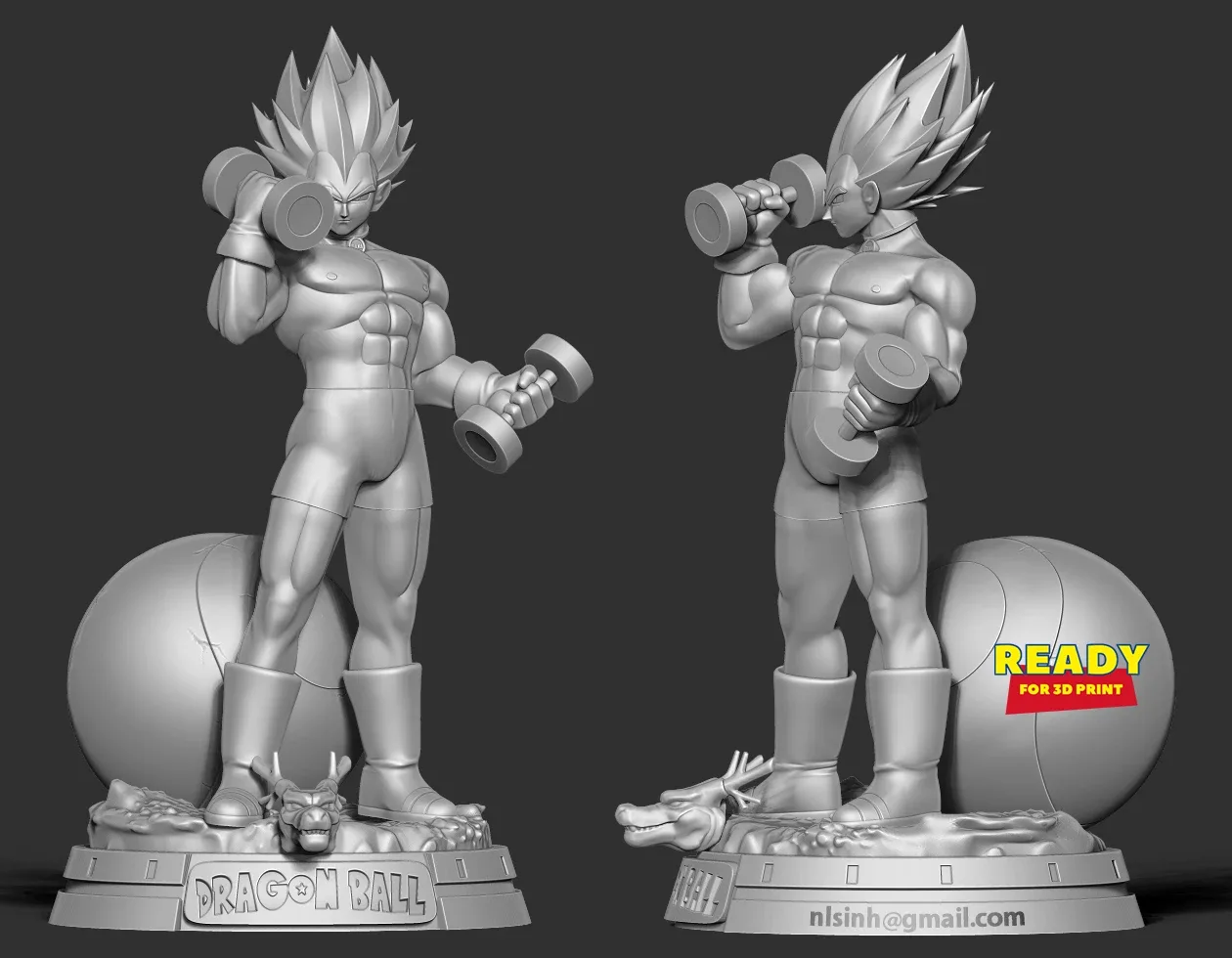 Vegeta with gym