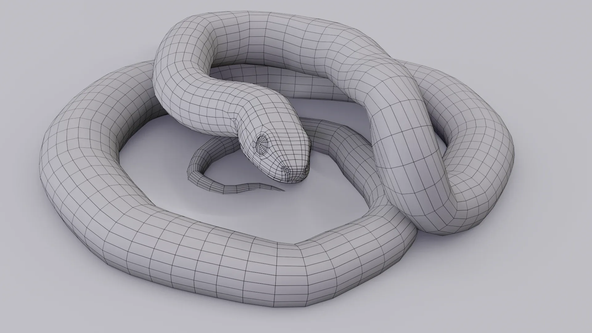 Garter Snake - Animated