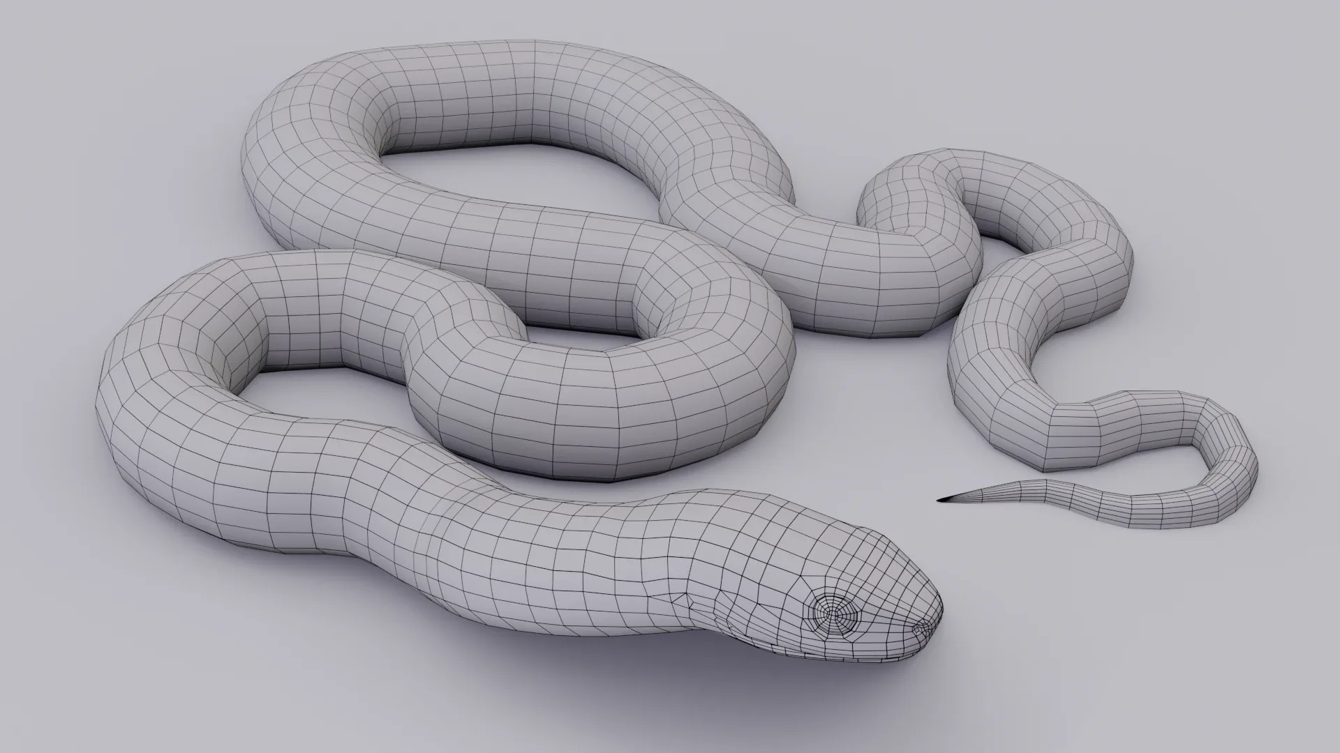 Garter Snake - Animated