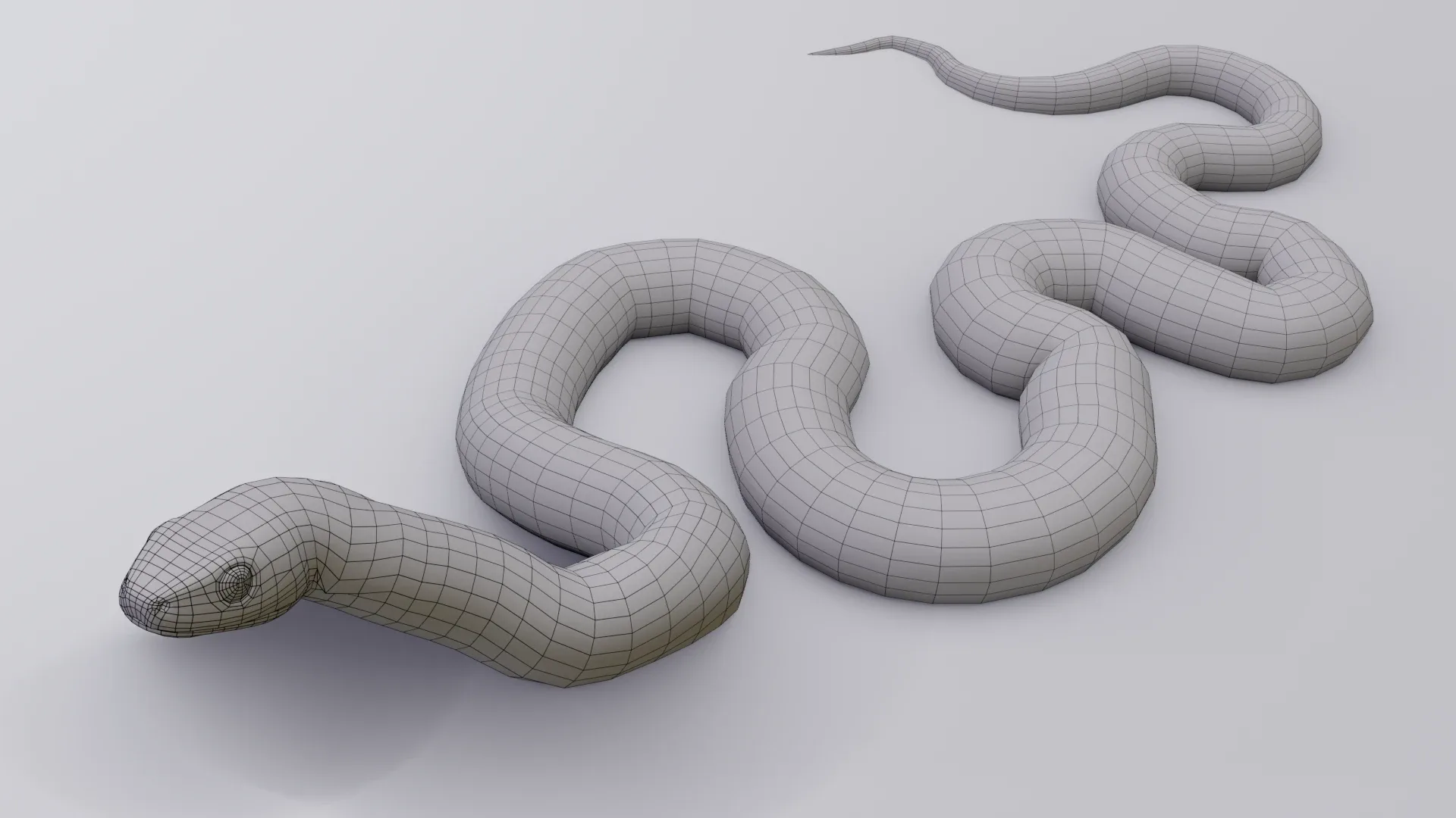 Garter Snake - Animated