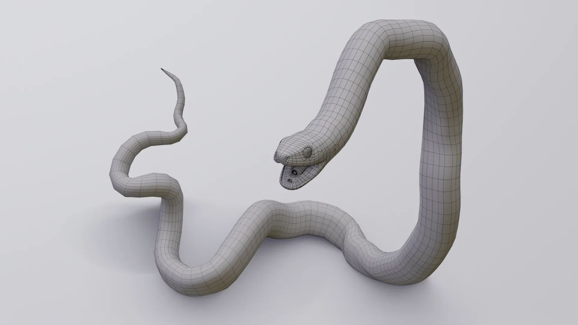 Garter Snake - Animated