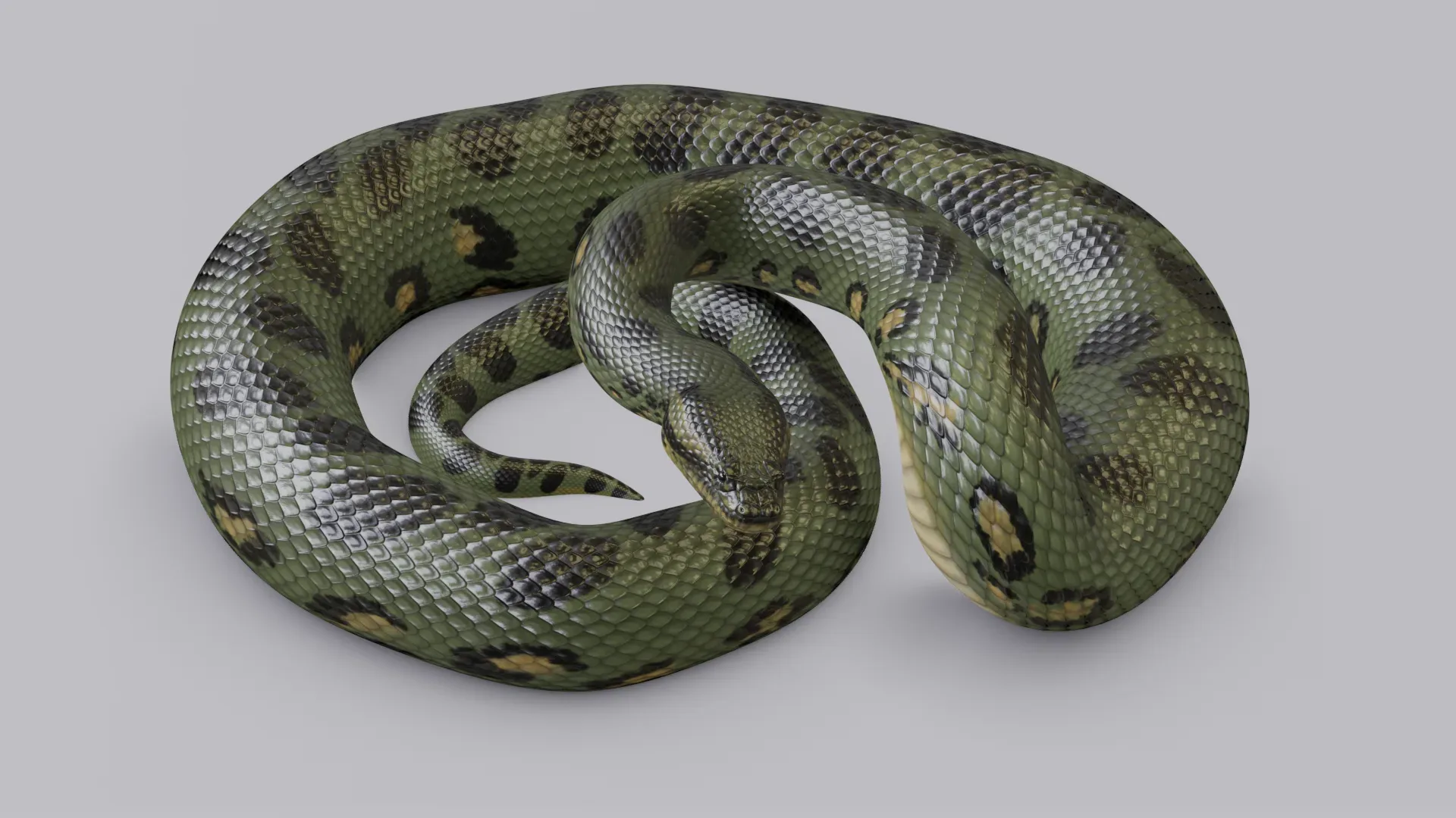 Green Anaconda - Animated