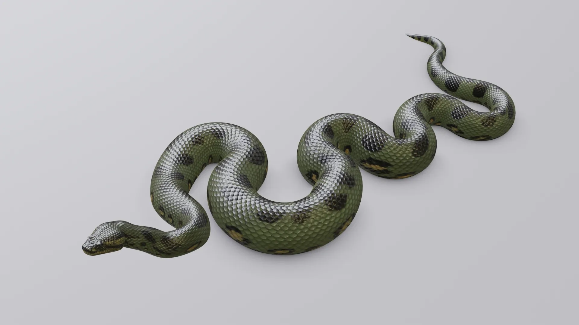 Green Anaconda - Animated