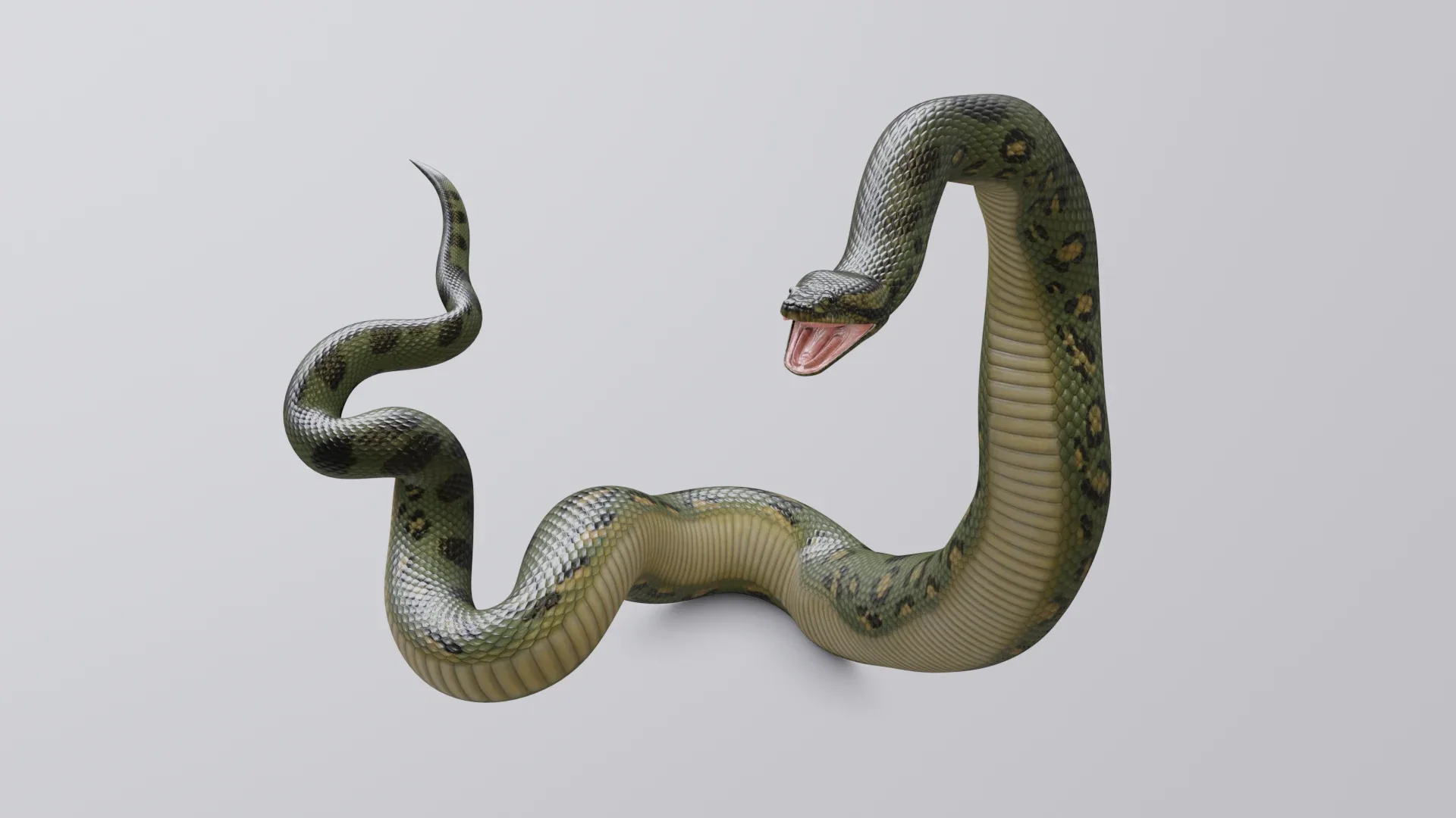 Green Anaconda - Animated