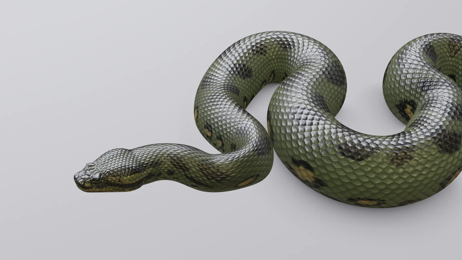 Green Anaconda - Animated