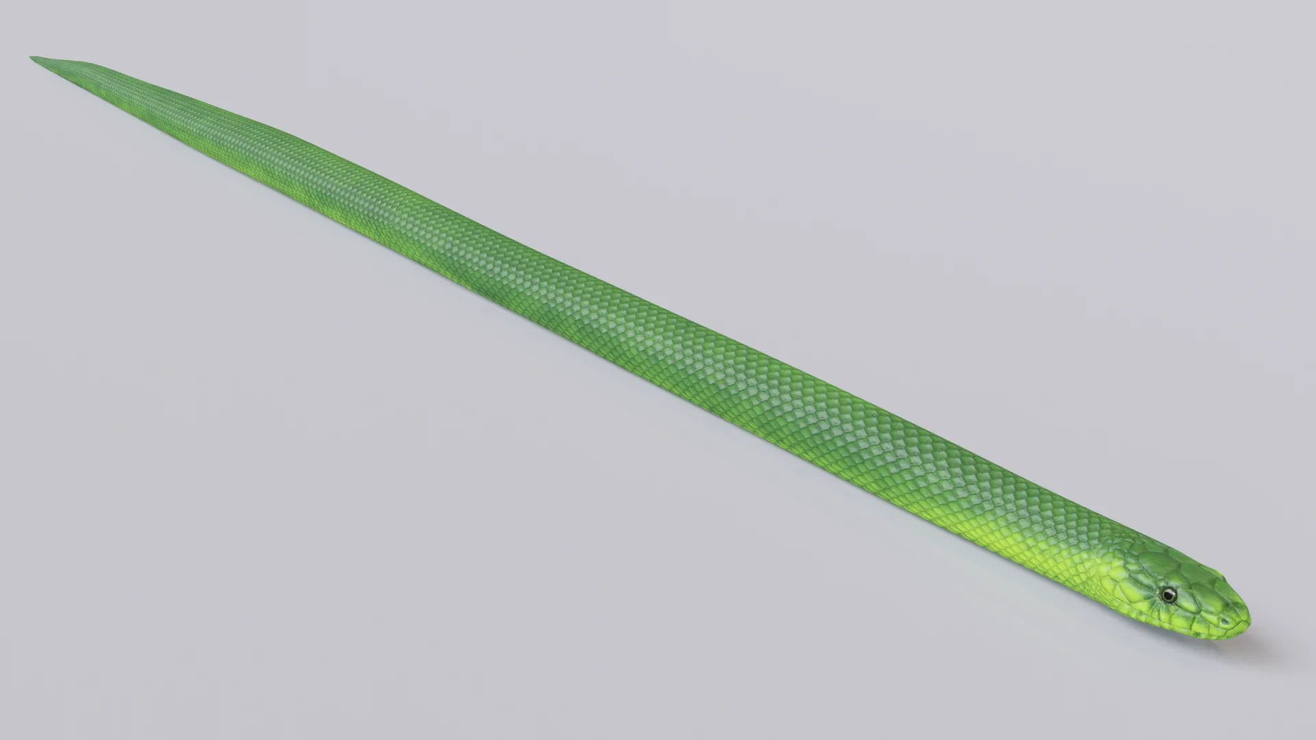 Green Mamba - Animated