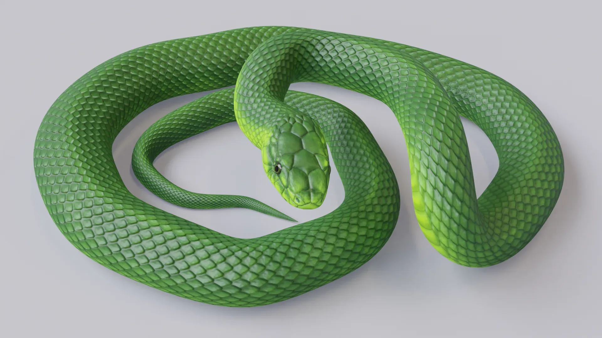 Green Mamba - Animated