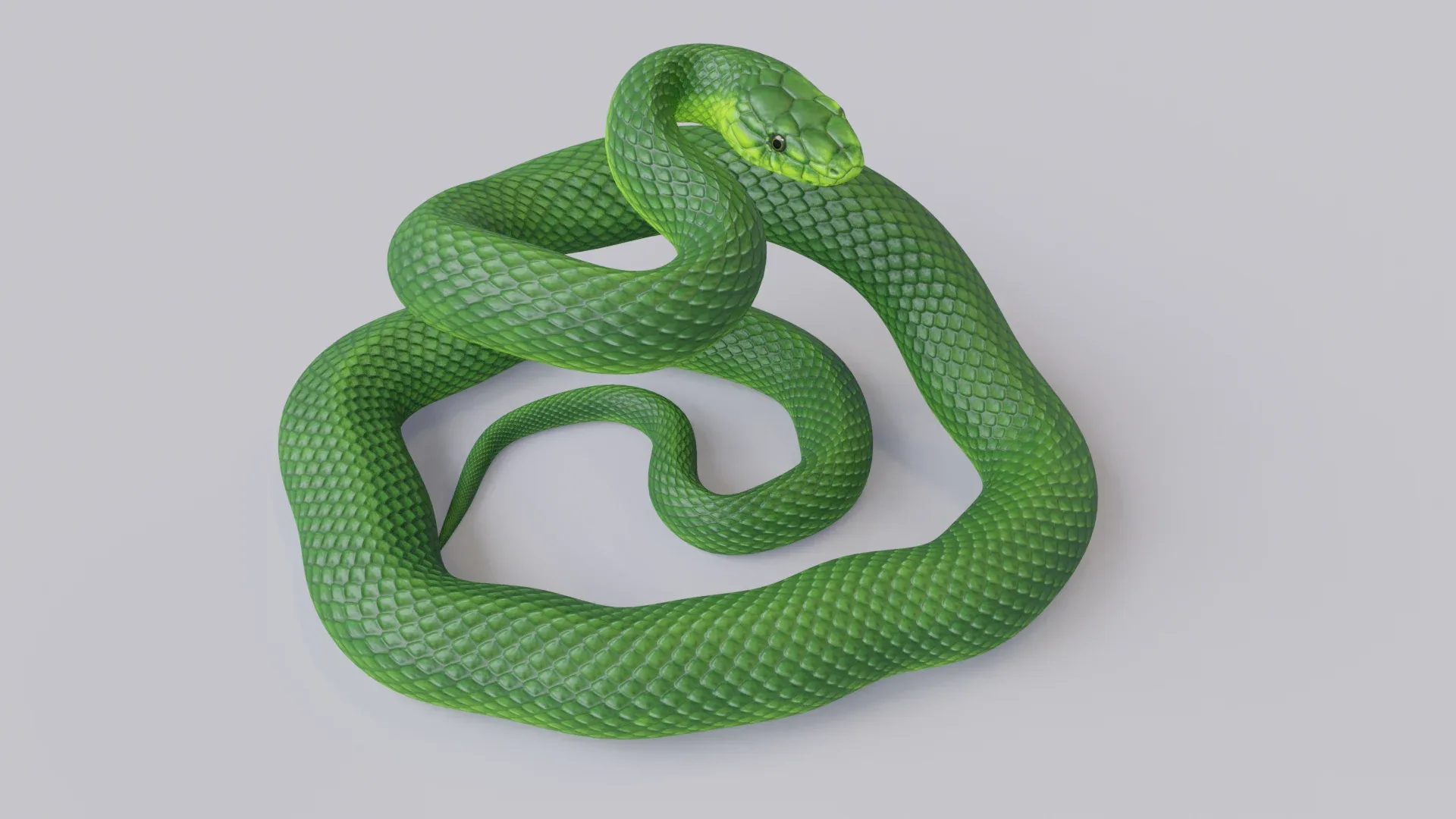 Green Mamba - Animated