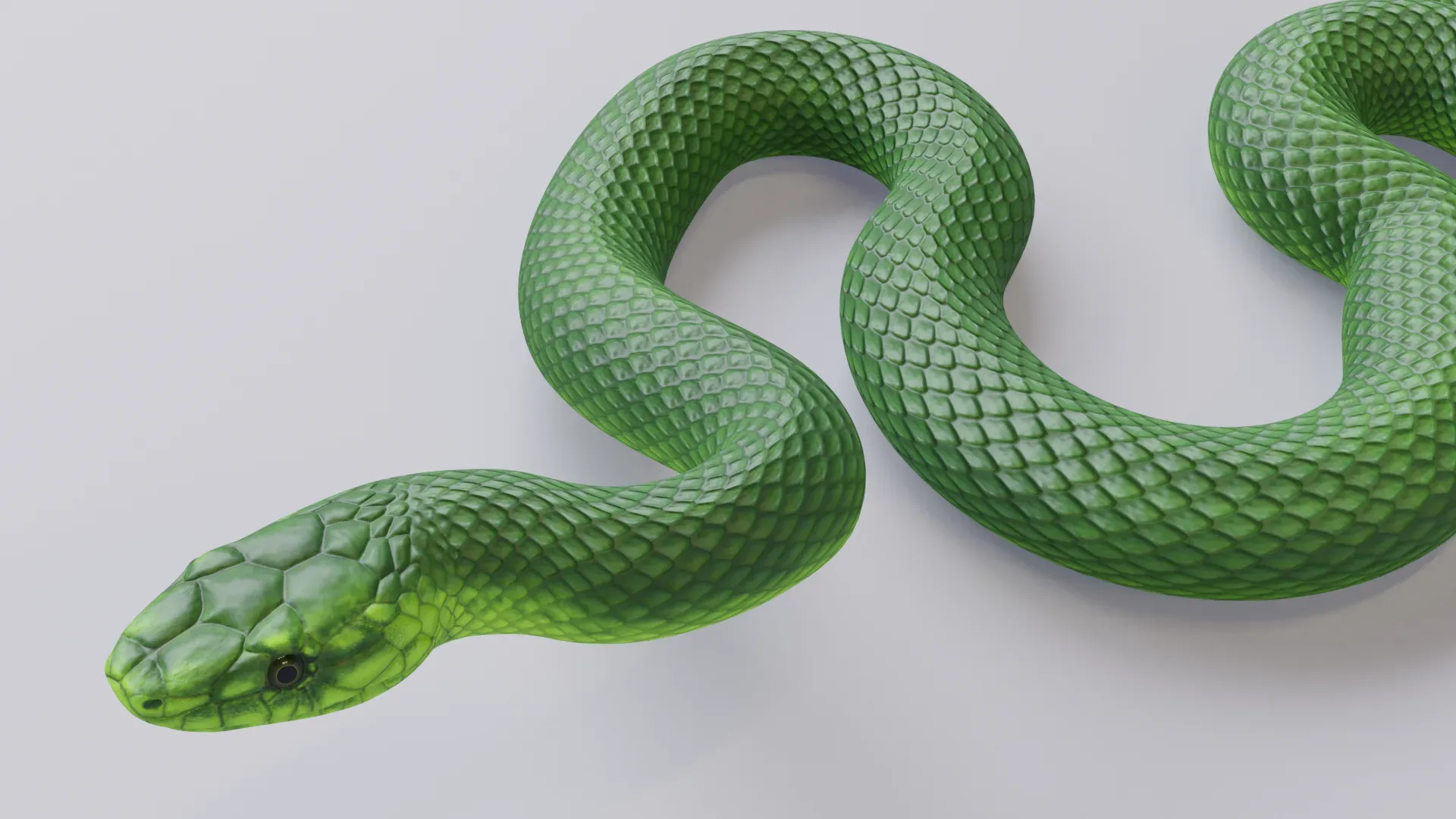 Green Mamba - Animated