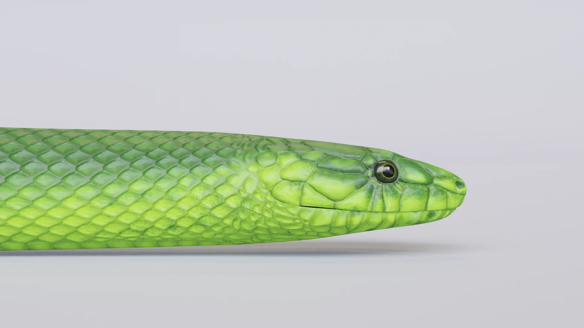 Green Mamba - Animated