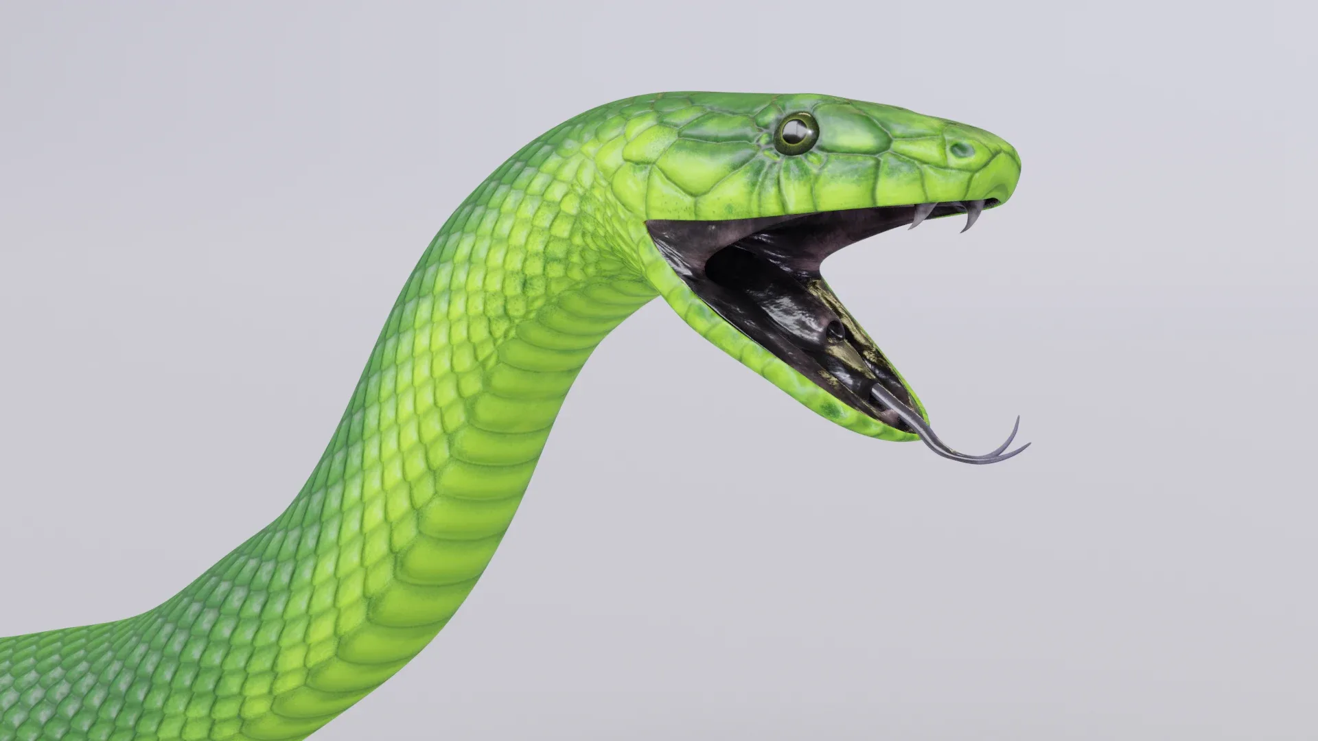 Green Mamba - Animated