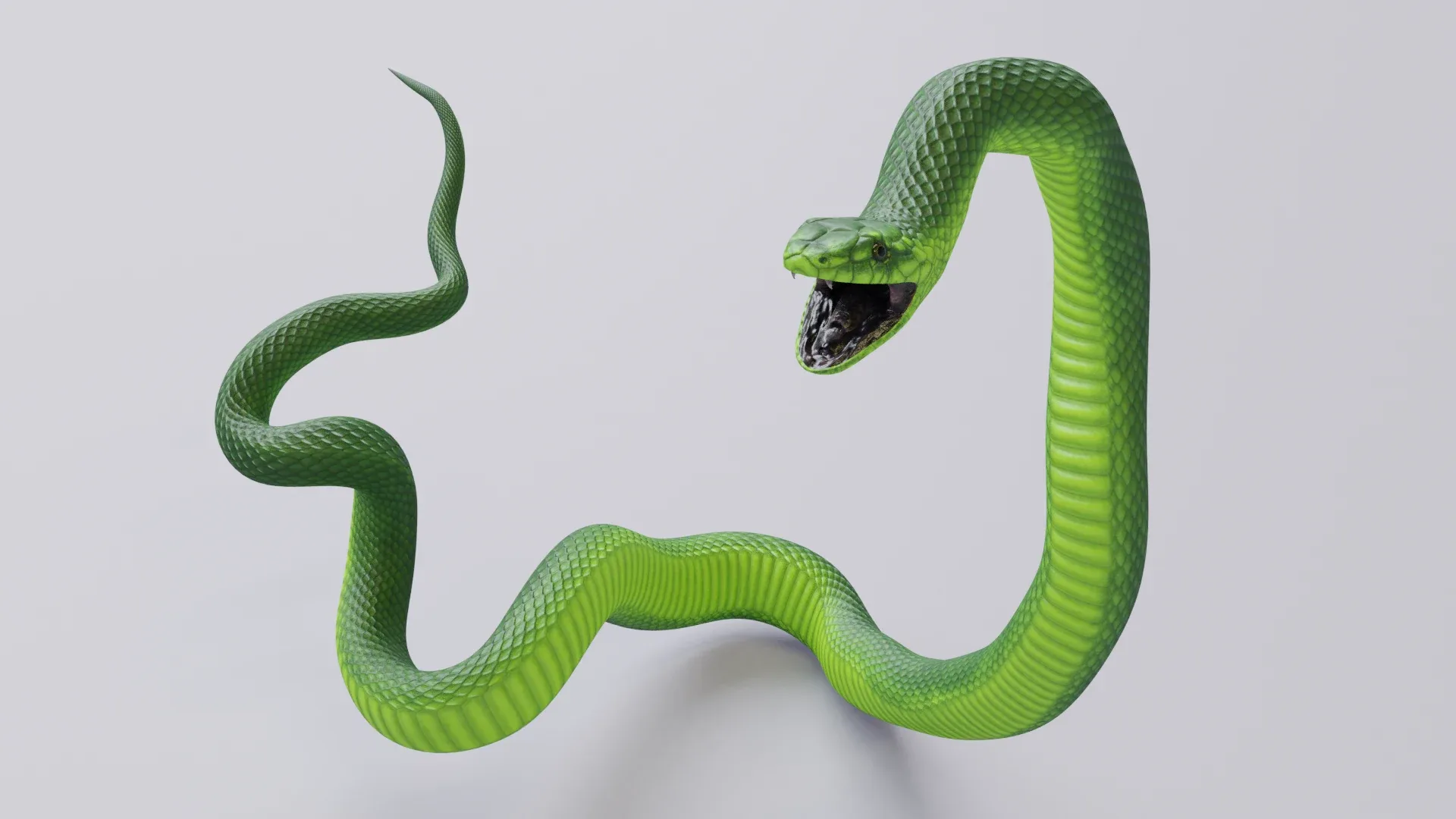 Green Mamba - Animated