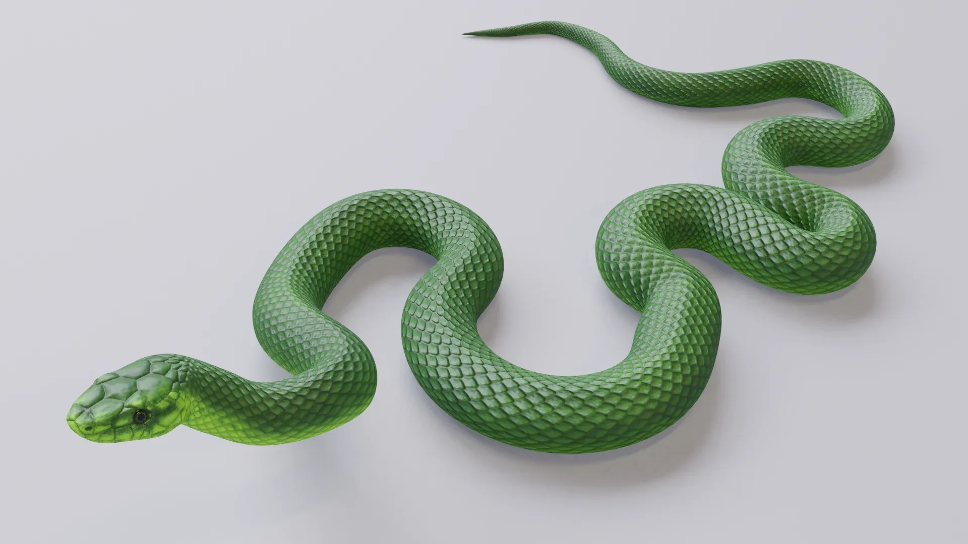 Green Mamba - Animated