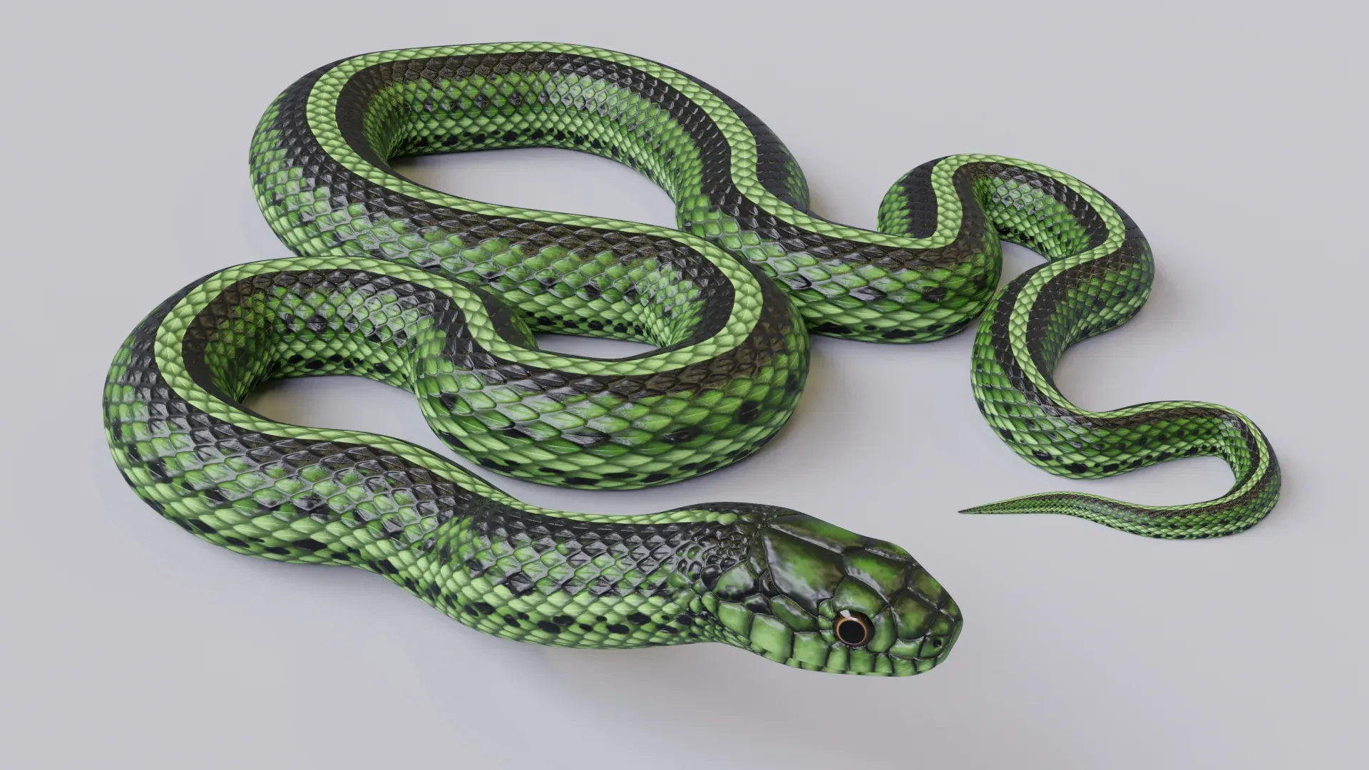 Green Snake - Animated