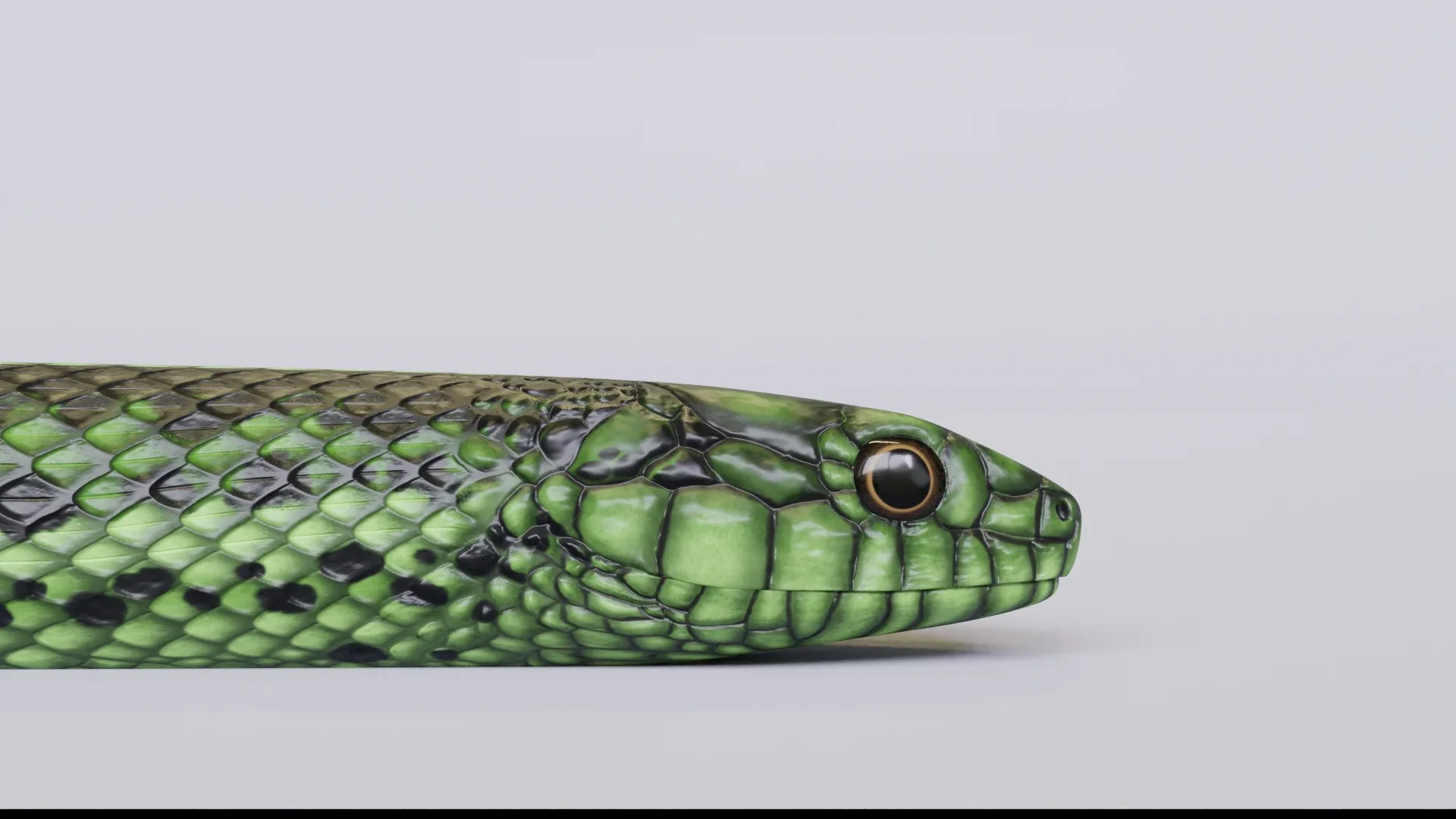 Green Snake - Animated