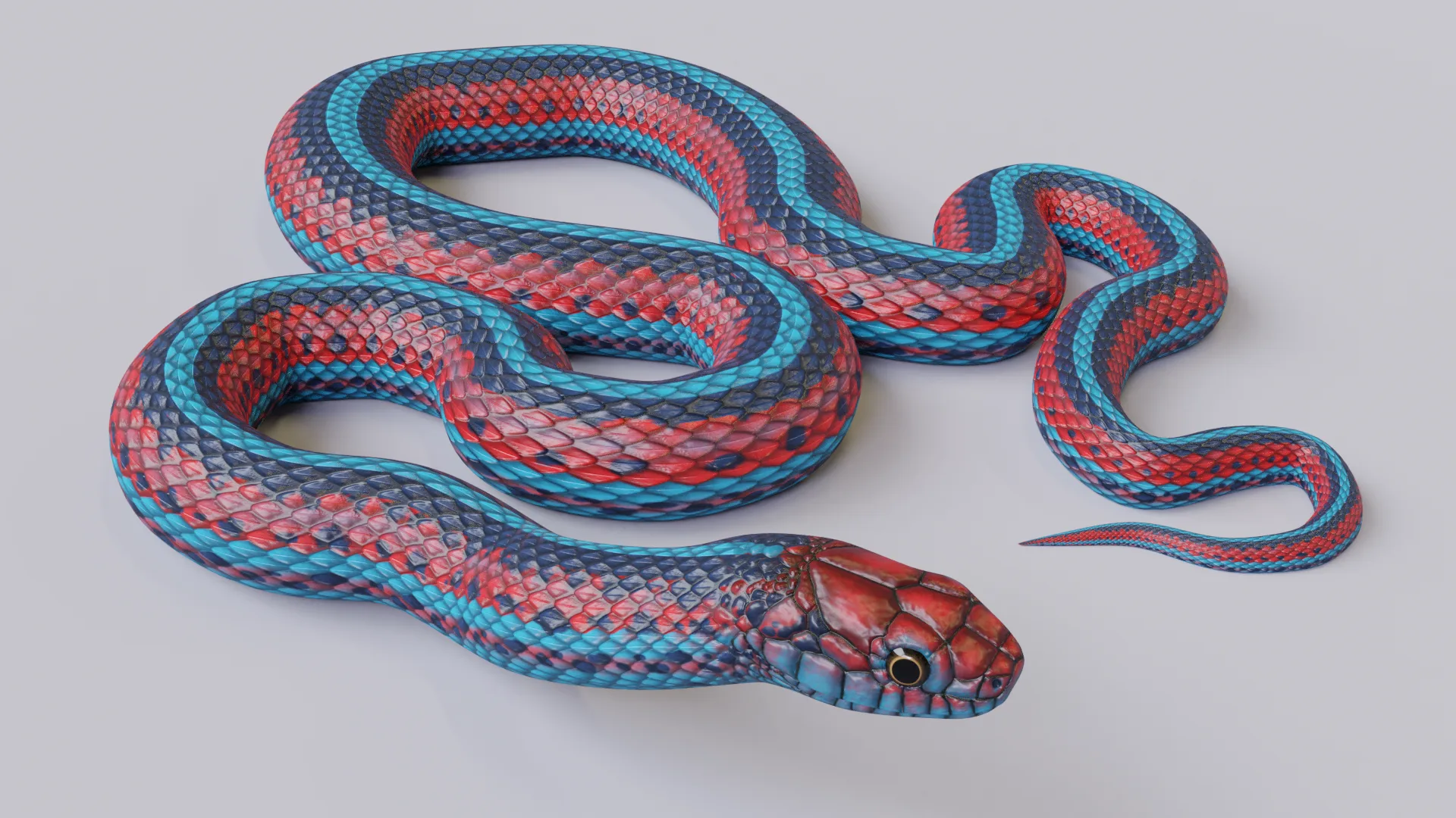 San Francisco Garter Snake - Animated