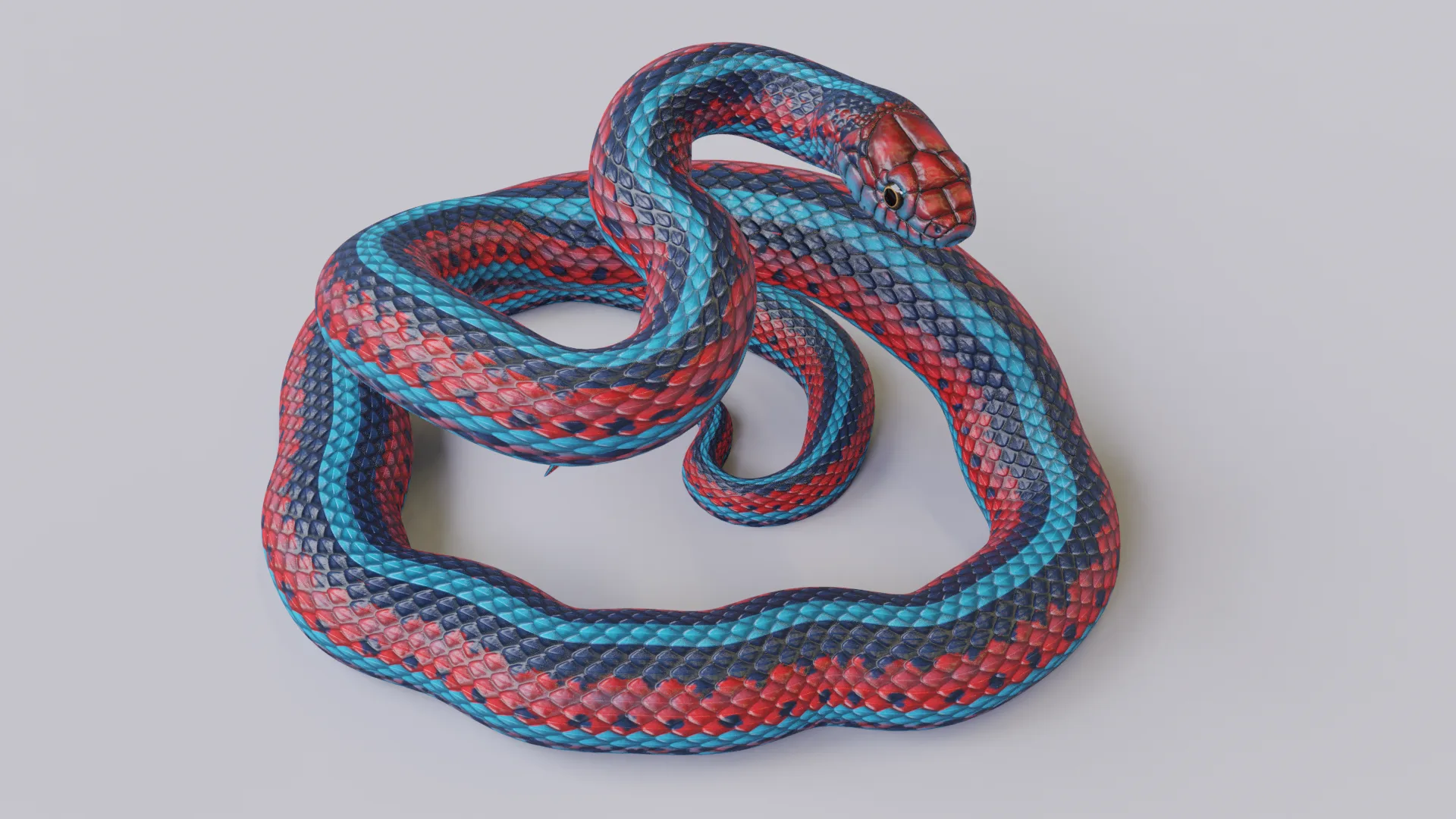 San Francisco Garter Snake - Animated