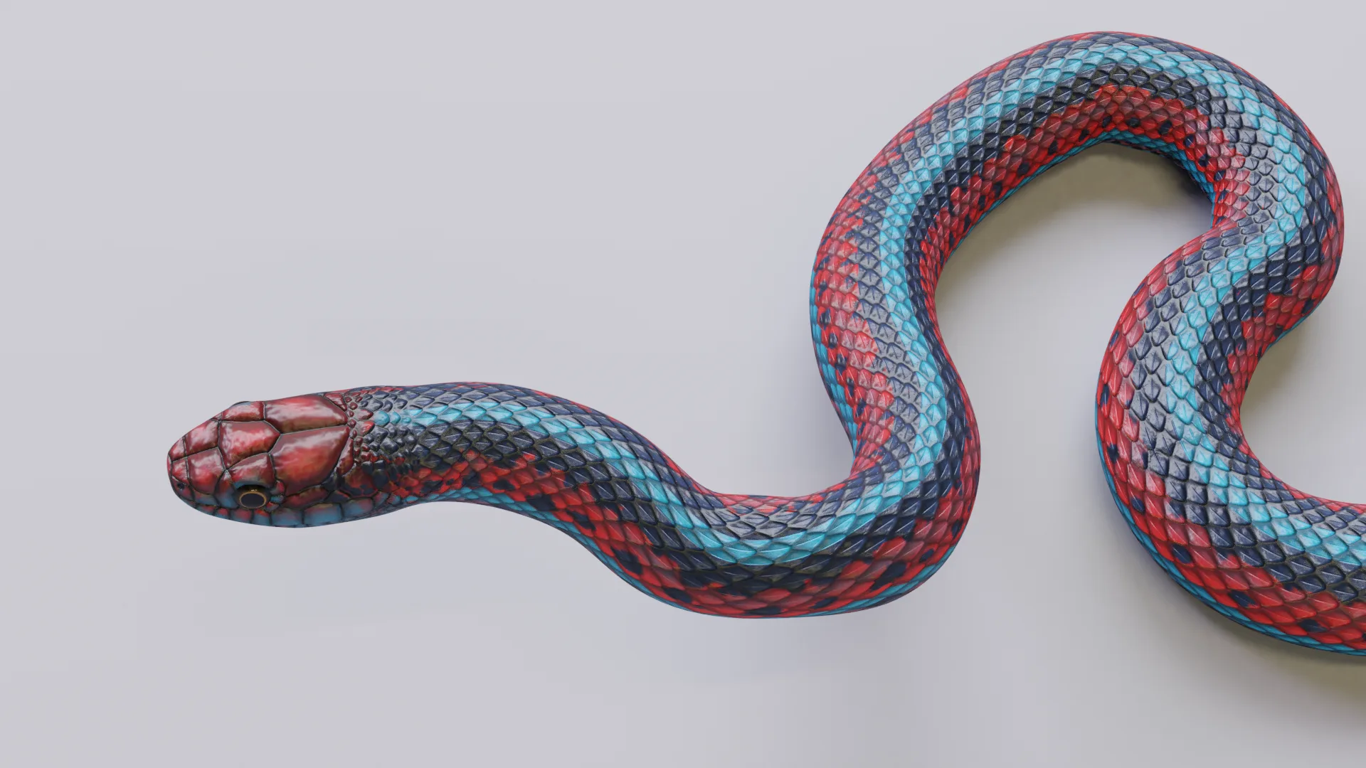 San Francisco Garter Snake - Animated