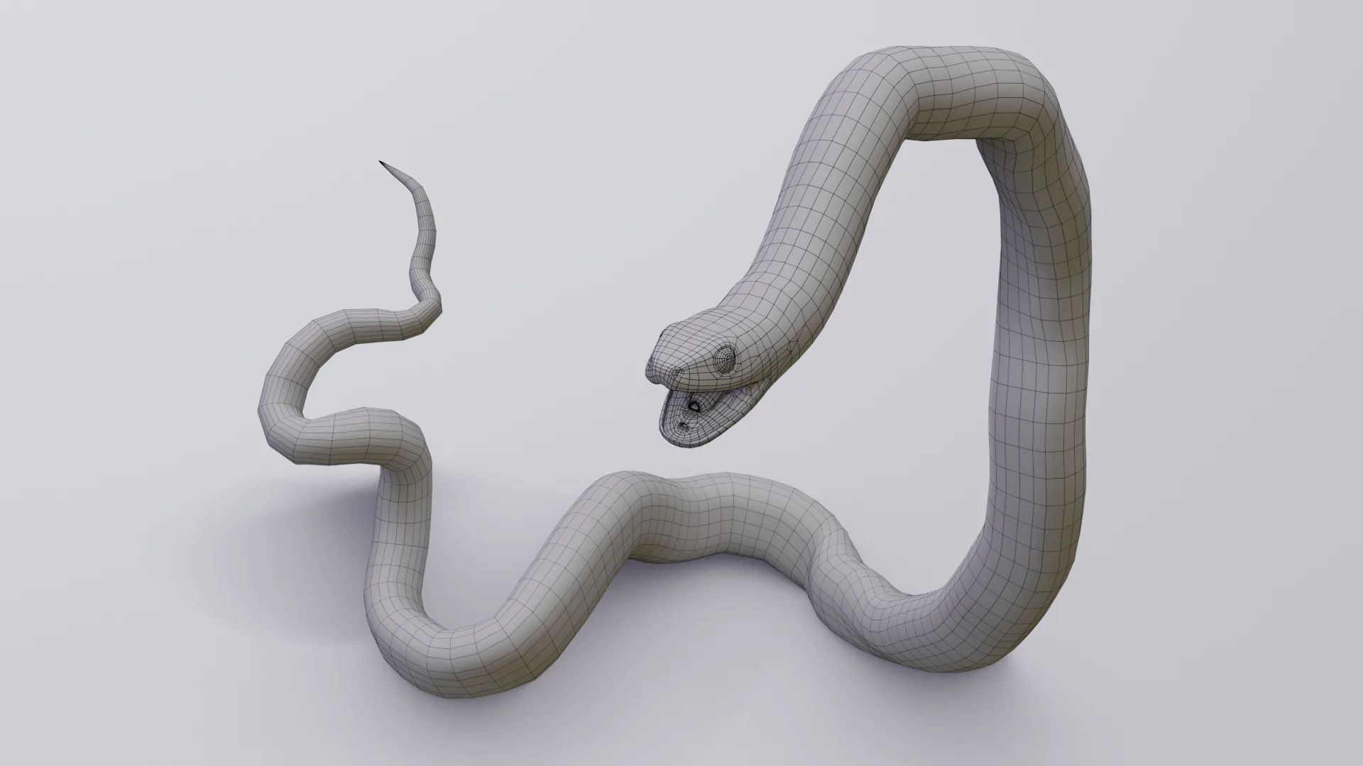 San Francisco Garter Snake - Animated