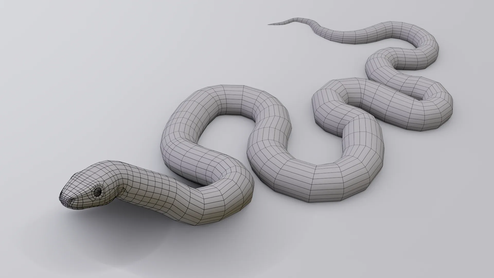 Scarlet King Snake - Animated