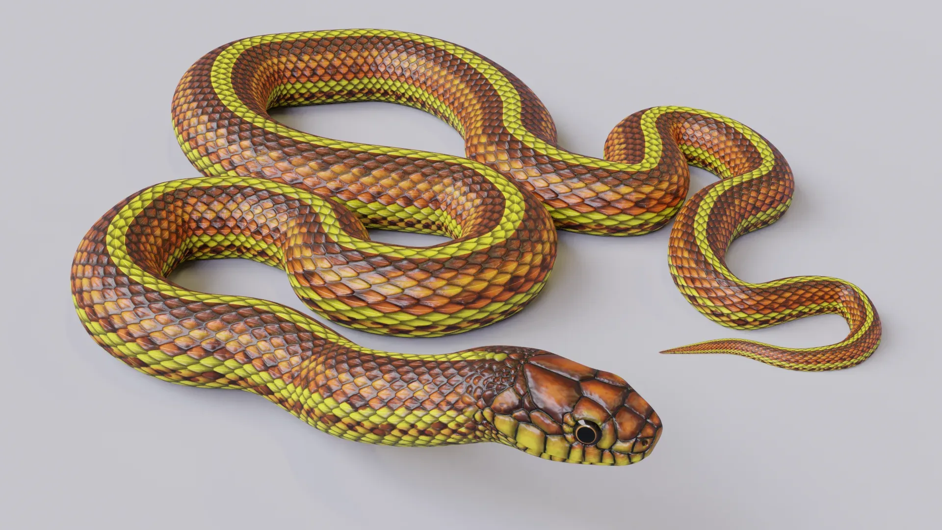 Yellow Snake - Animated