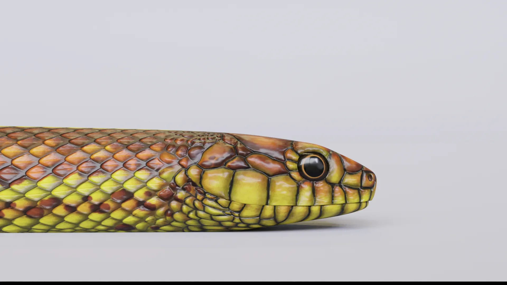 Yellow Snake Animated FlippedNormals