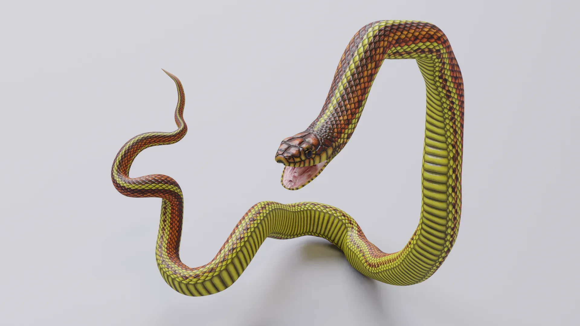 Yellow Snake - Animated