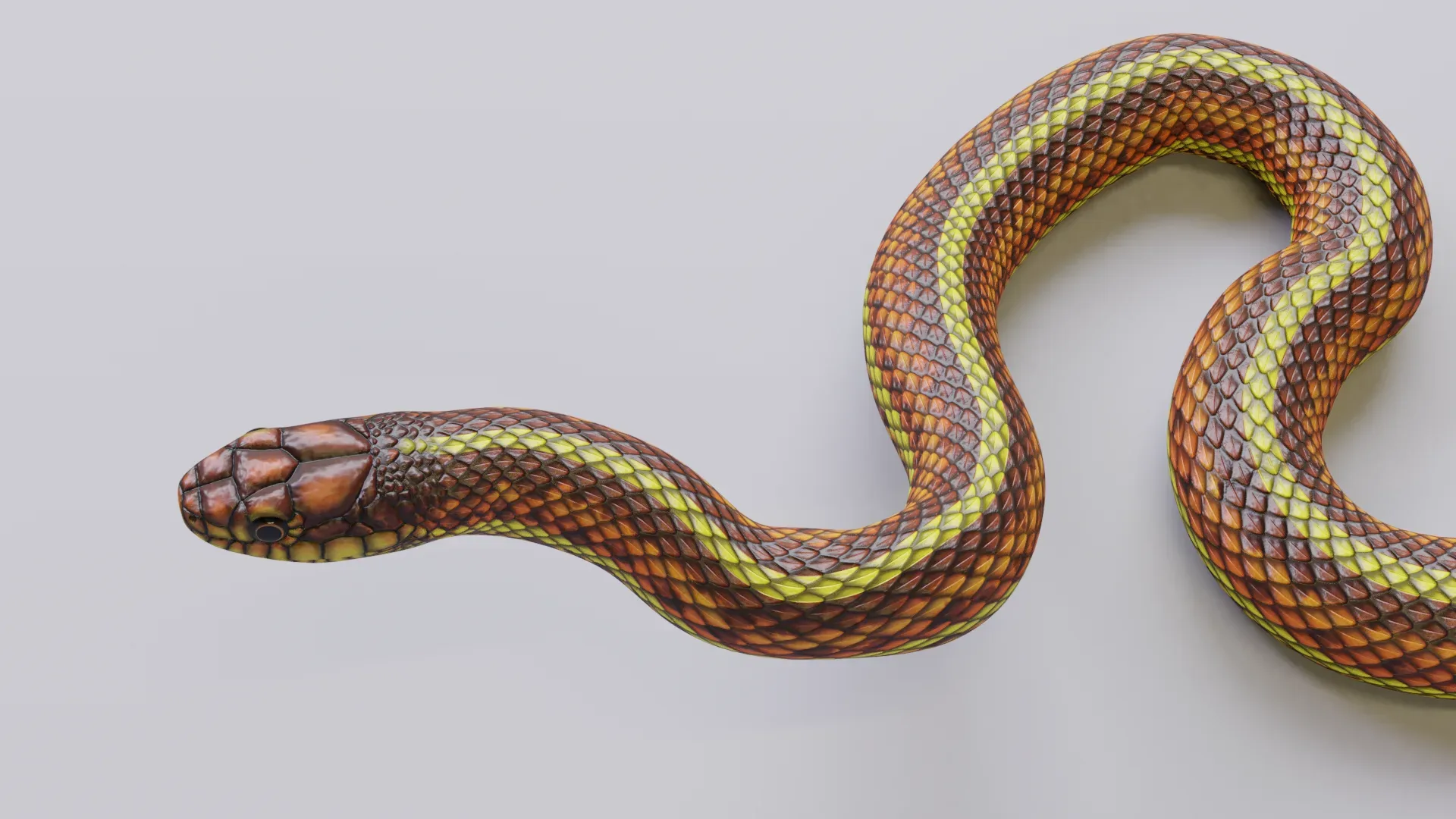 Yellow Snake - Animated