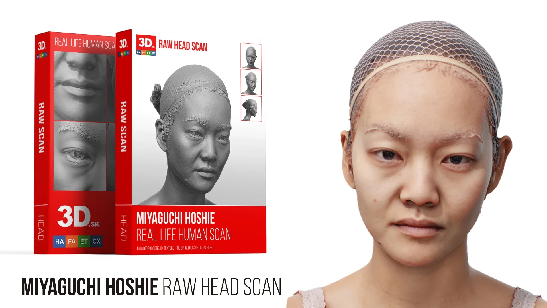 Raw Head Scan | 3D Model Miyaguchi Hoshie