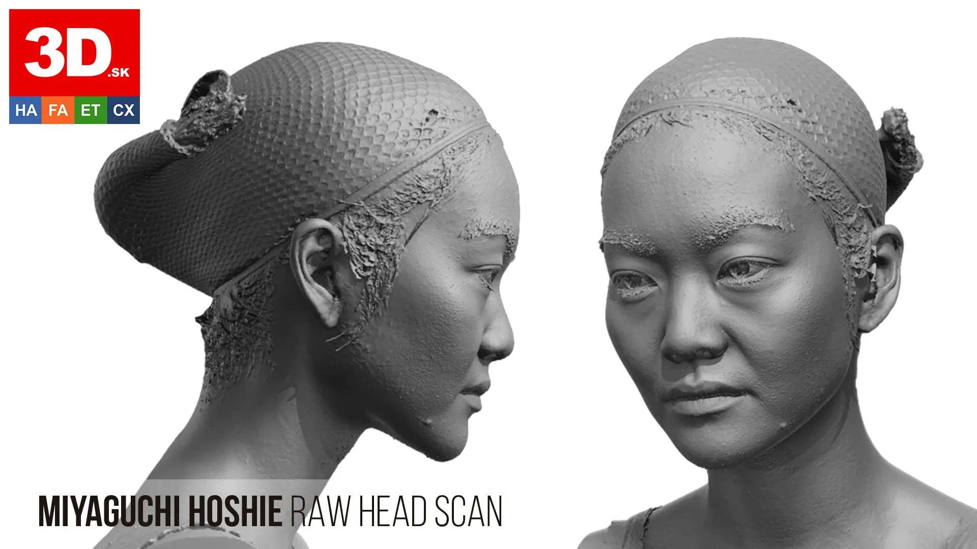 Raw Head Scan | 3D Model Miyaguchi Hoshie