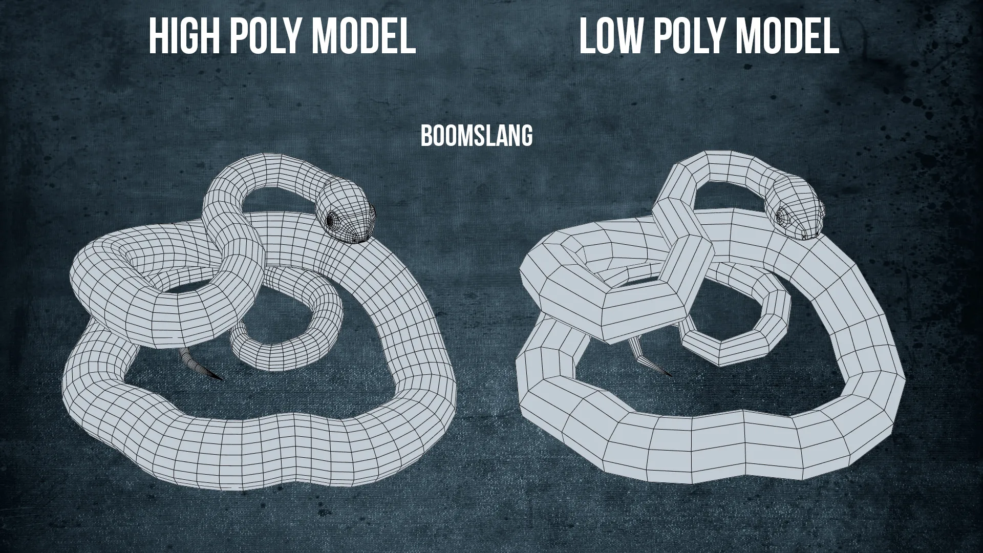 Boomslang Snake - Animated